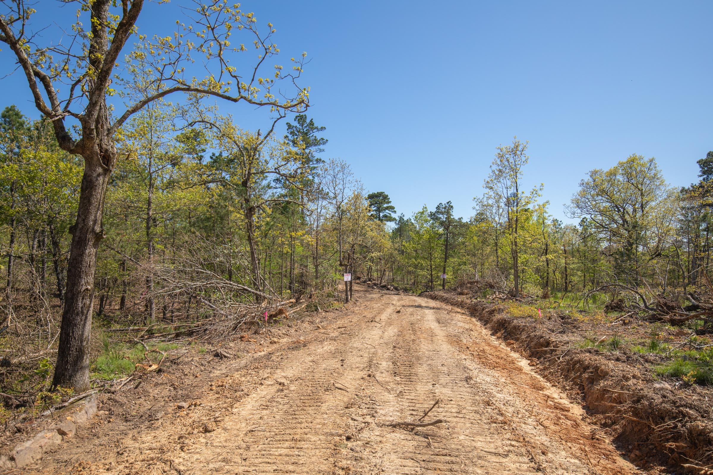 Eagle’s Nest Tract 20 photo 2