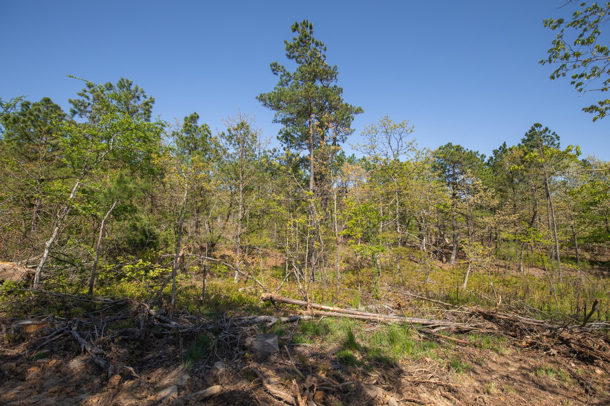 Eagle’s Nest Tract 20 photo 3