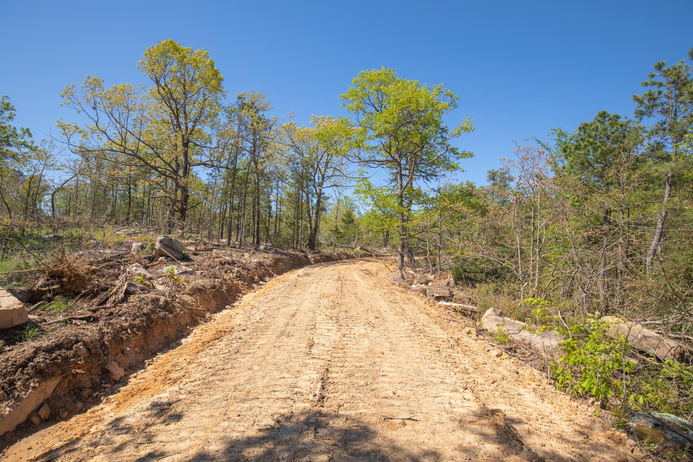 Eagle’s Nest Tract 20 photo 5
