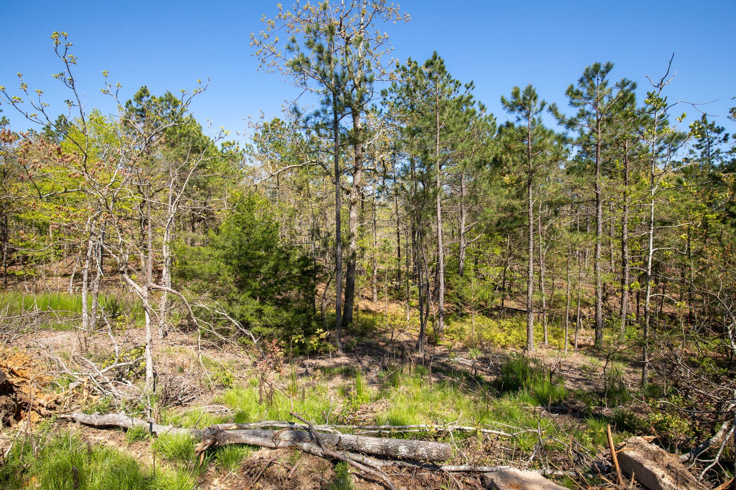 Eagle’s Nest Tract 20 photo 7