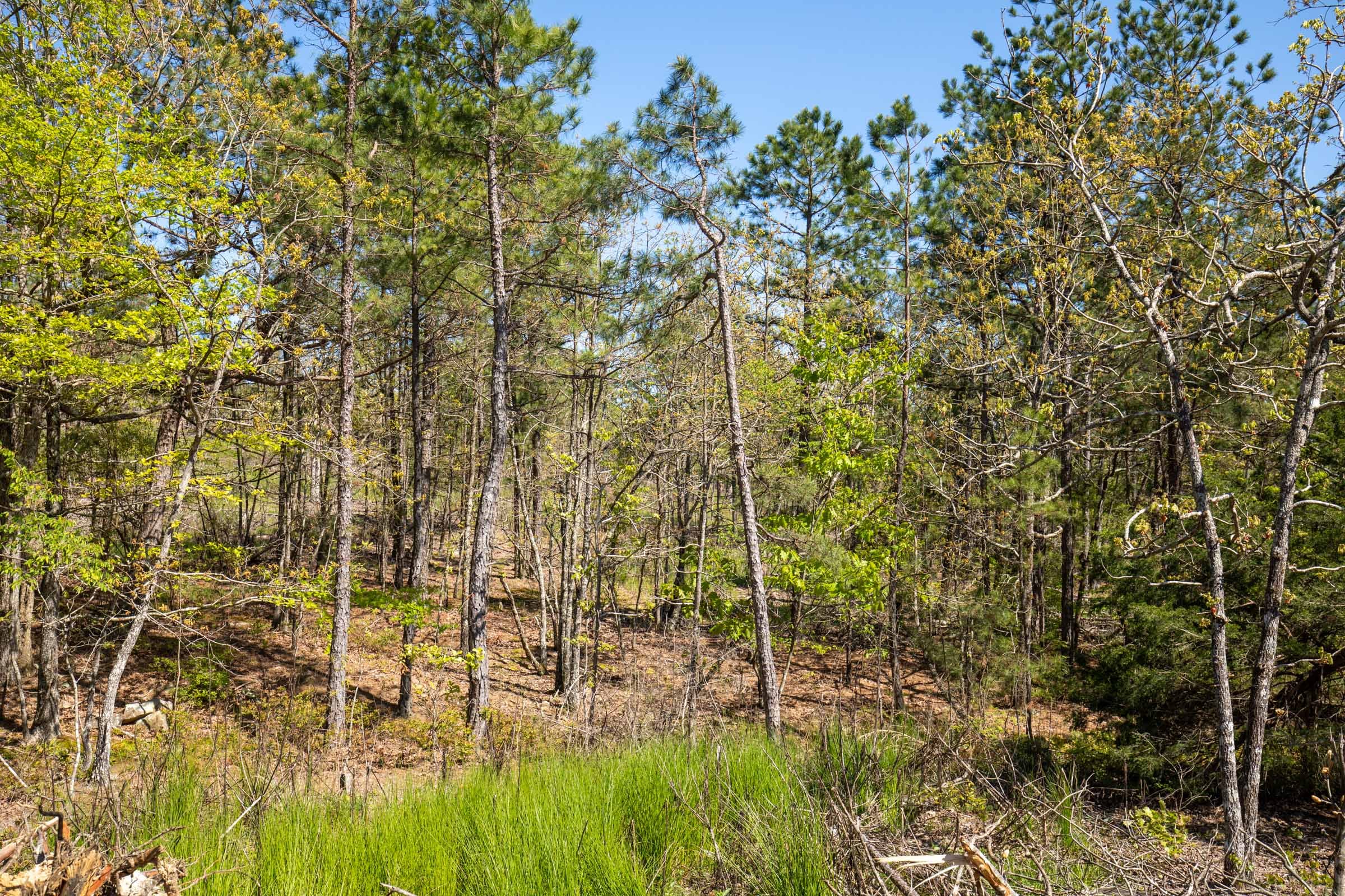 Eagle’s Nest Tract 20 photo 9