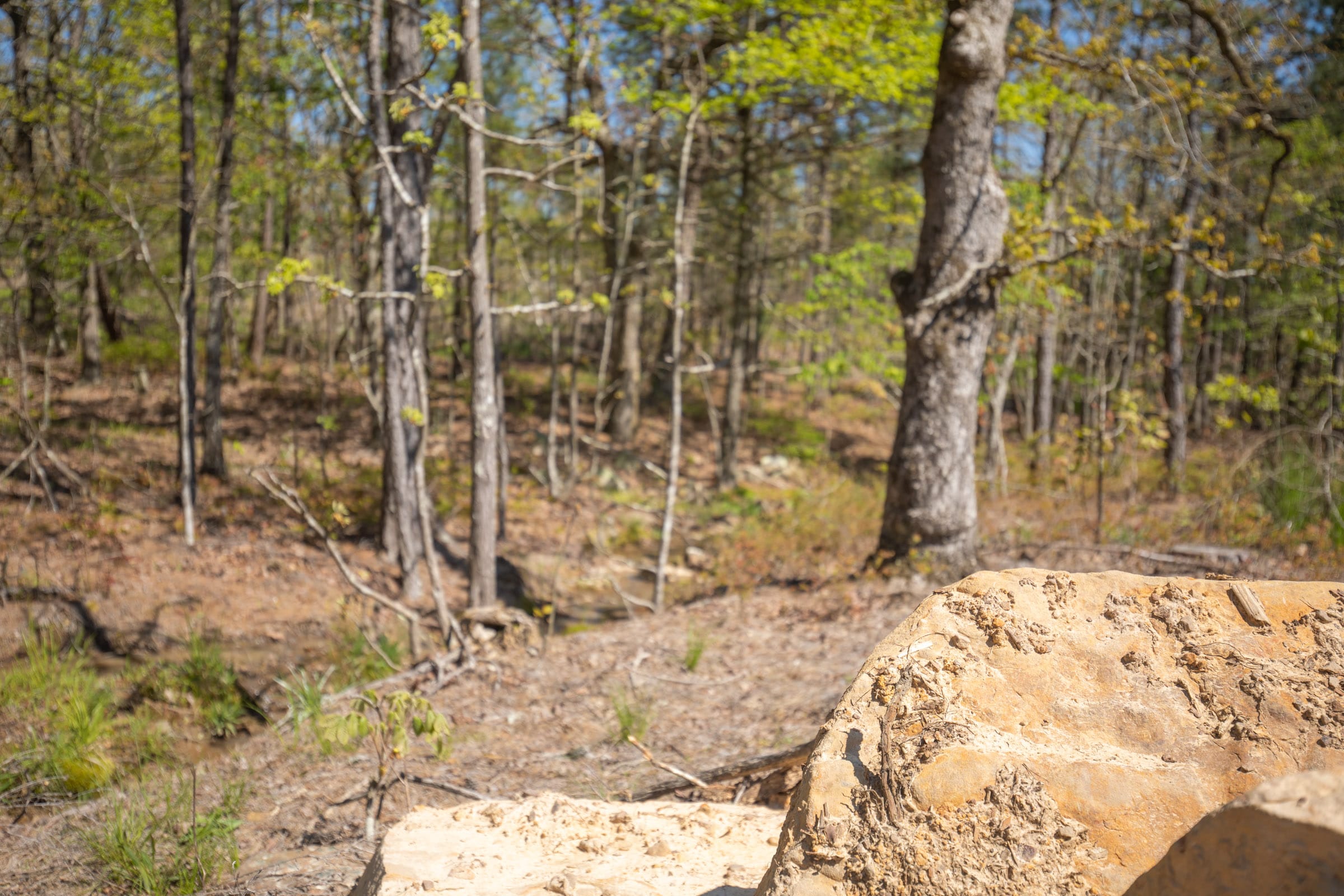 Eagle’s Nest Tract 20 photo 10