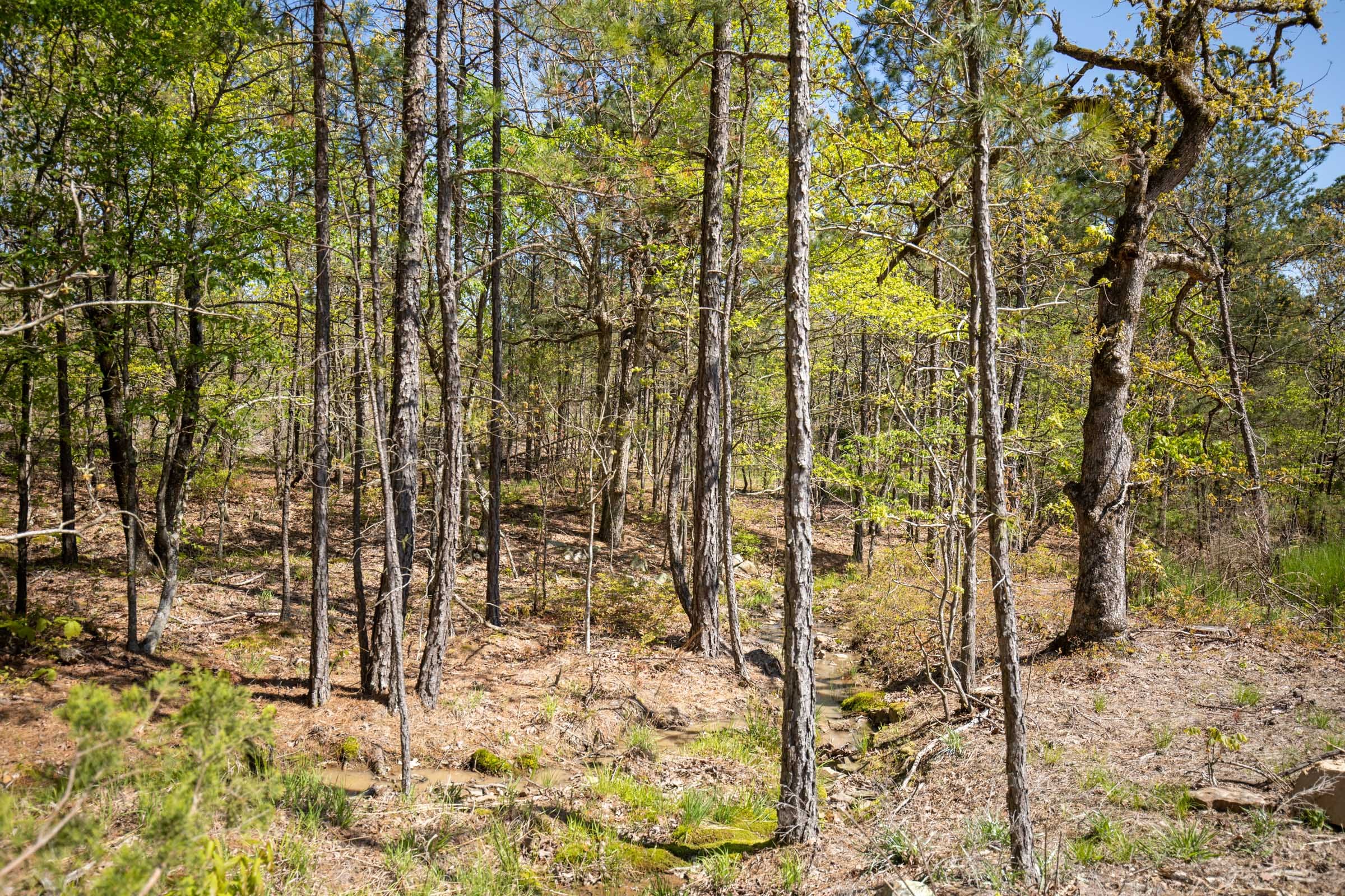 Eagle’s Nest Tract 20 photo 12