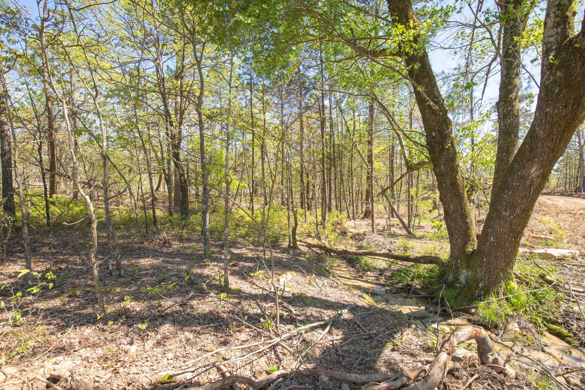 Eagle’s Nest Tract 20 photo 13