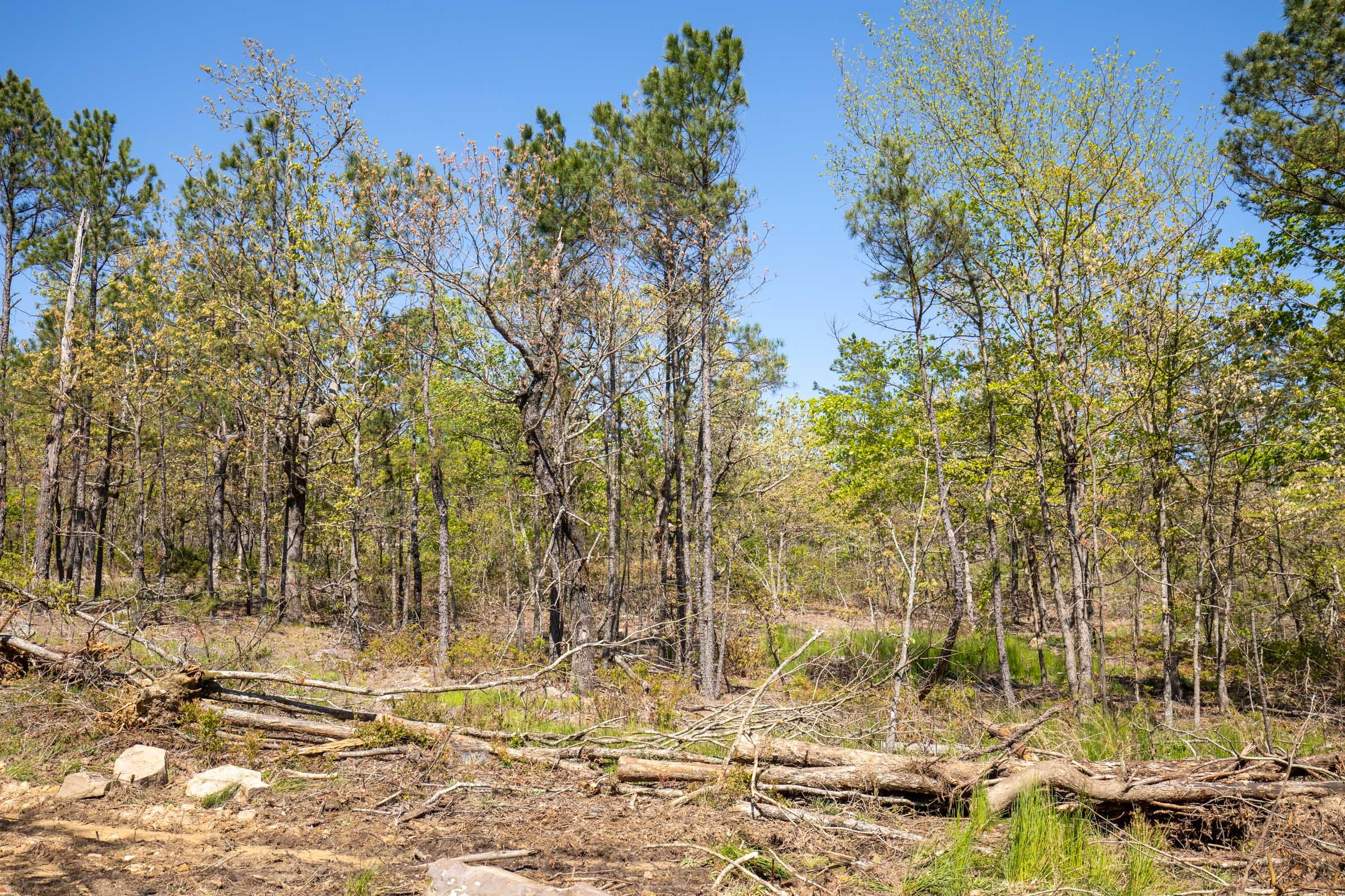 Eagle’s Nest Tract 20 photo 6