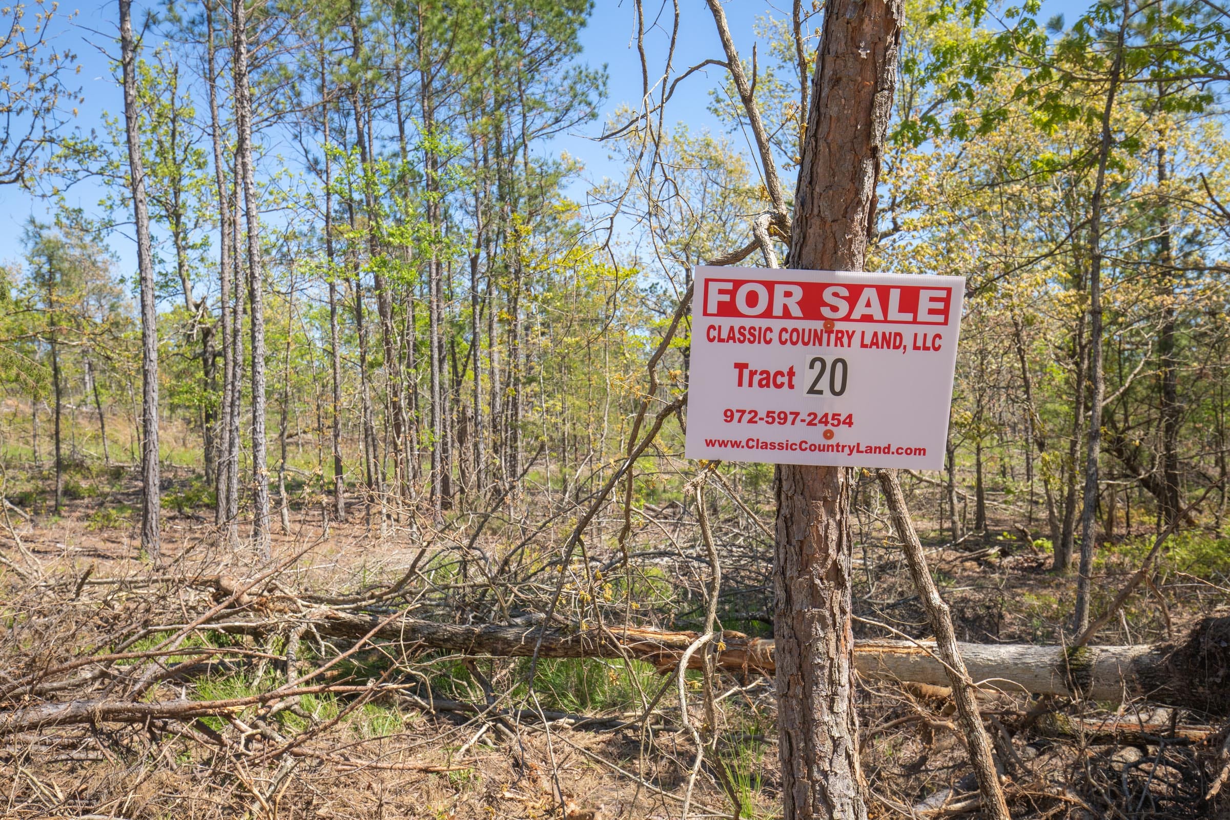 Eagle’s Nest Tract 20 photo 1