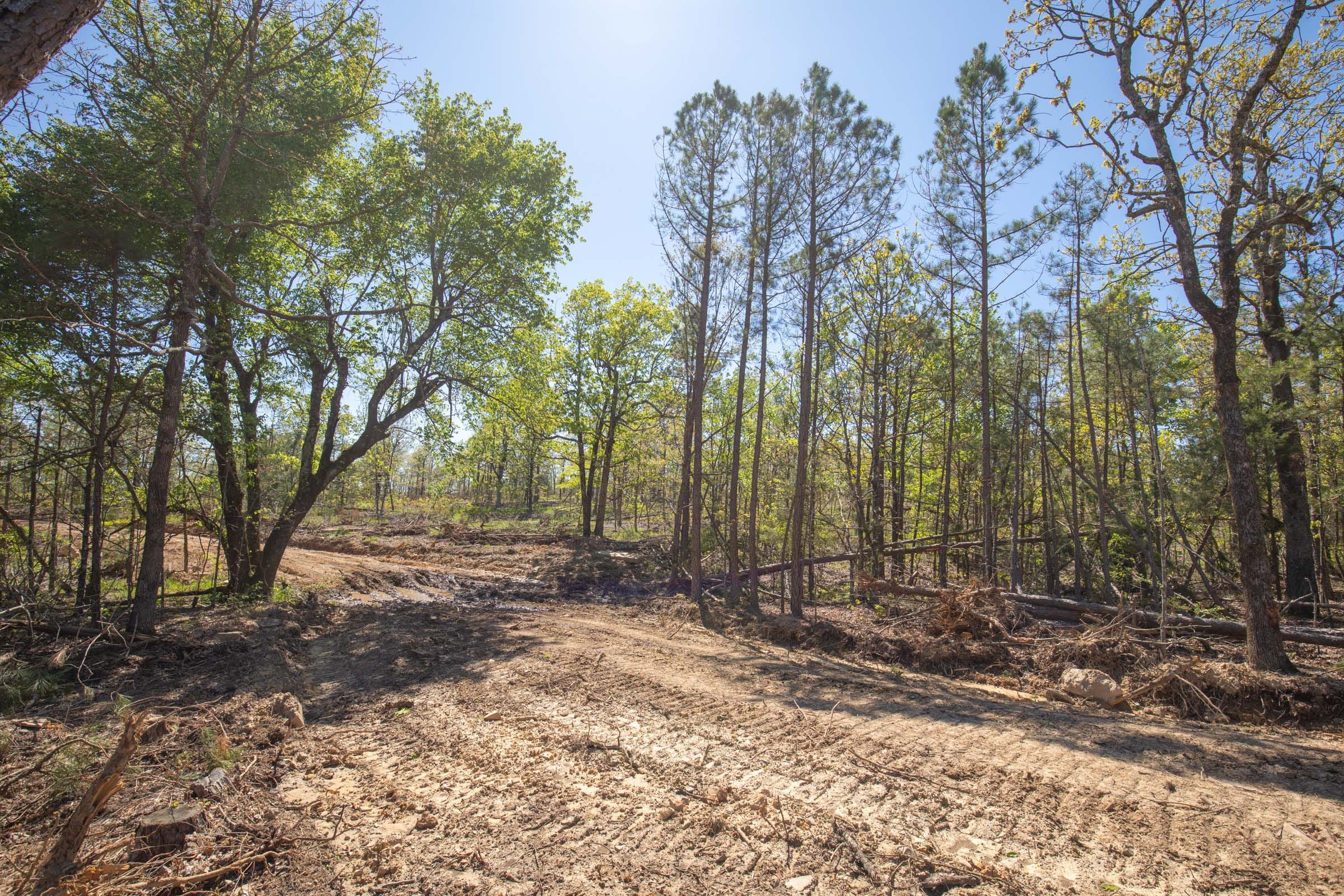 Eagle’s Nest Tract 20 photo 11