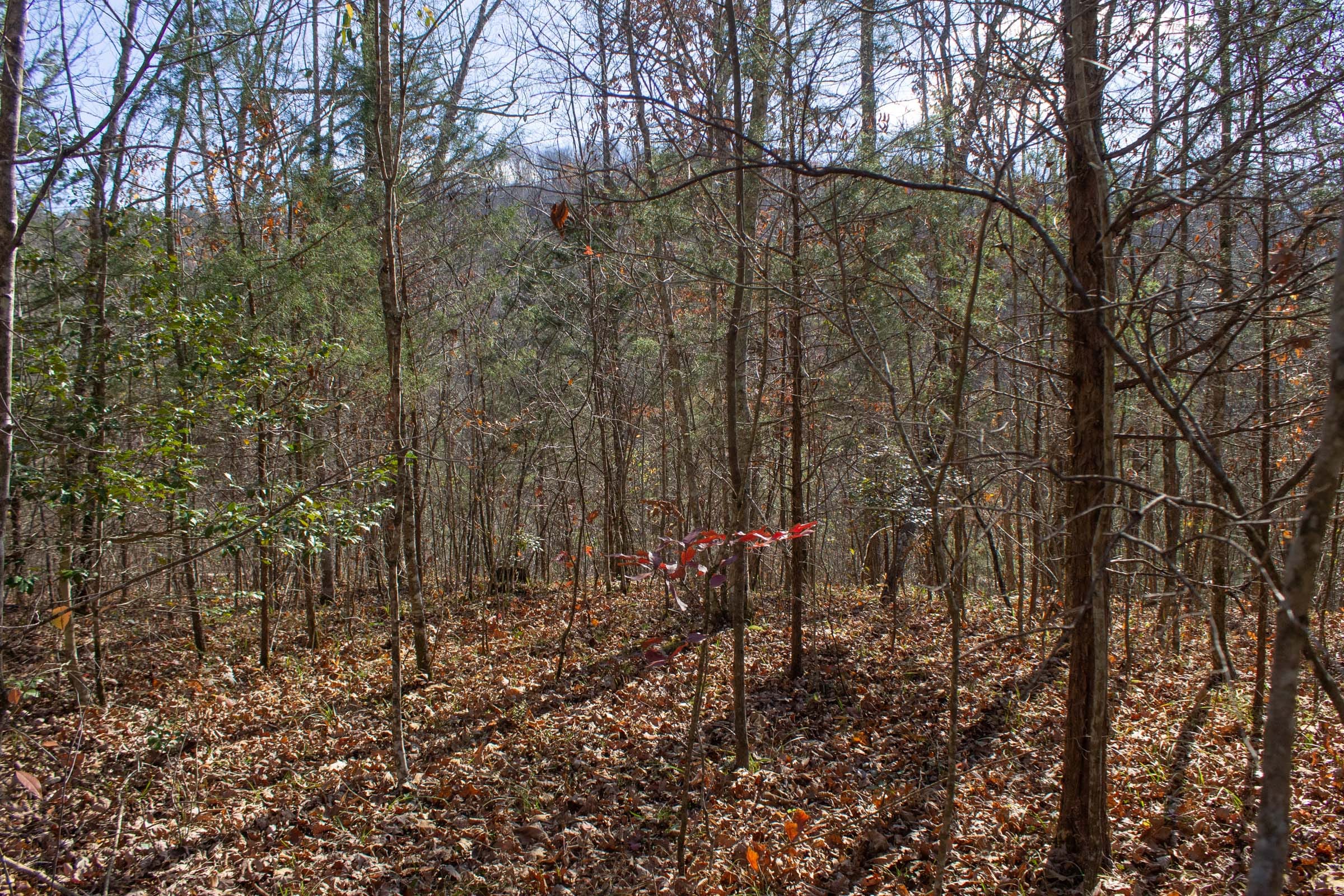 The Cliffs Tract 3 photo 1