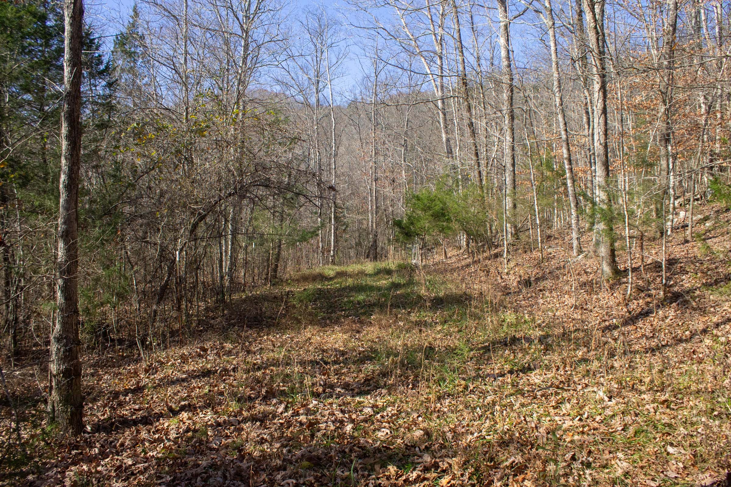 The Cliffs Tract 3 photo 2