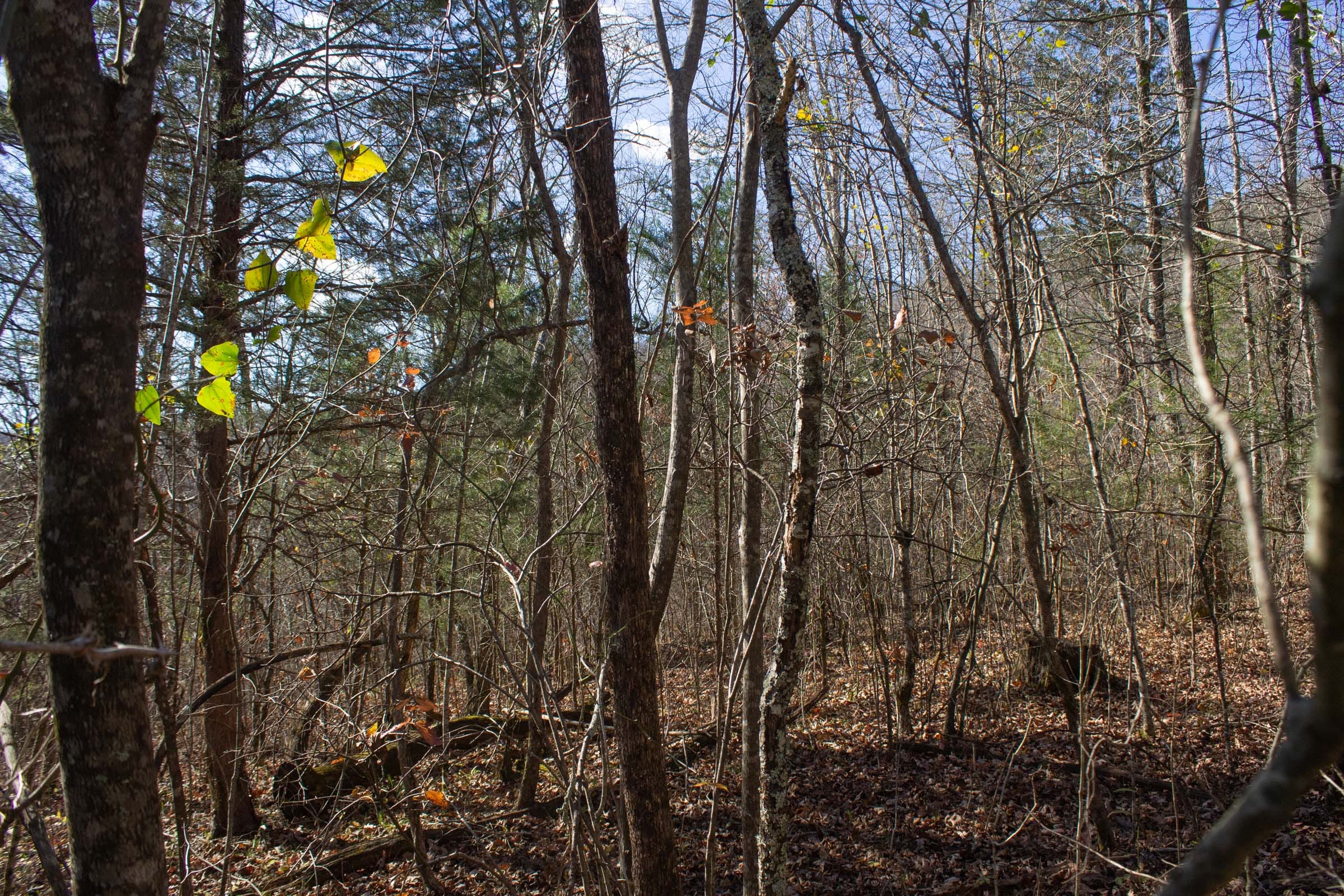 The Cliffs Tract 3 photo 3