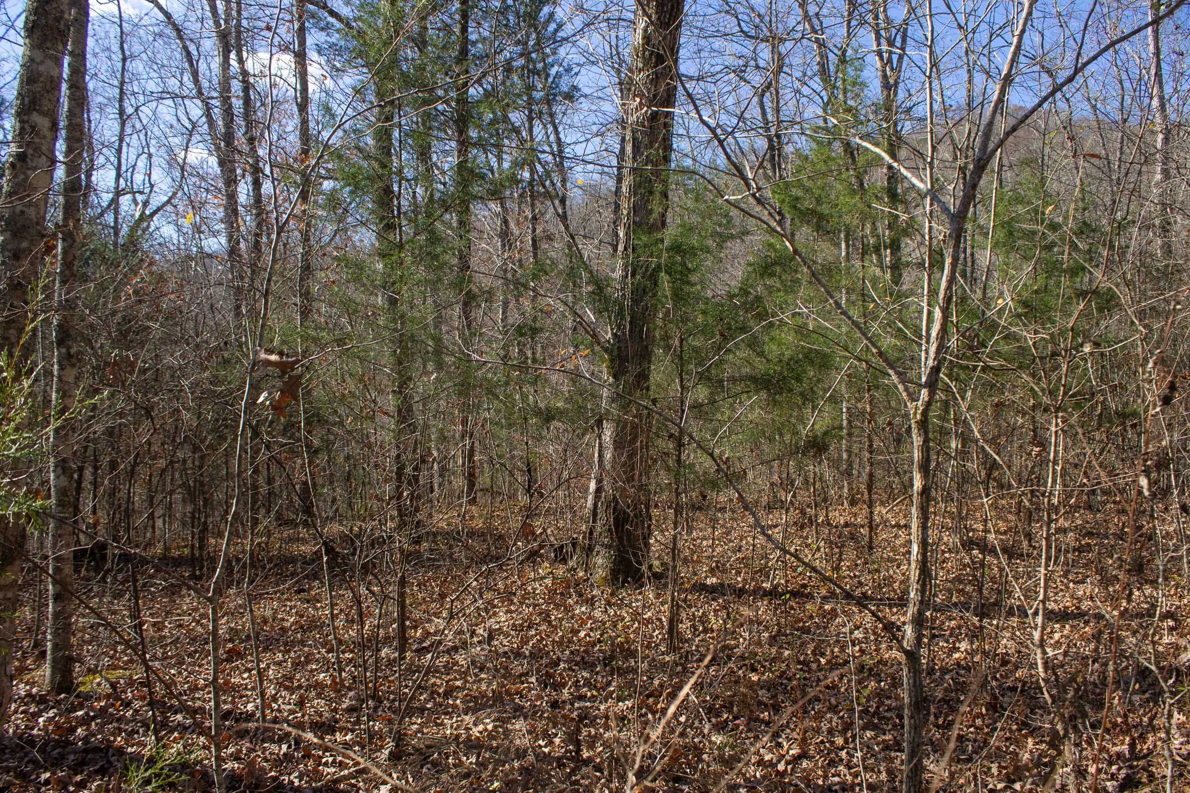 The Cliffs Tract 3 photo 4