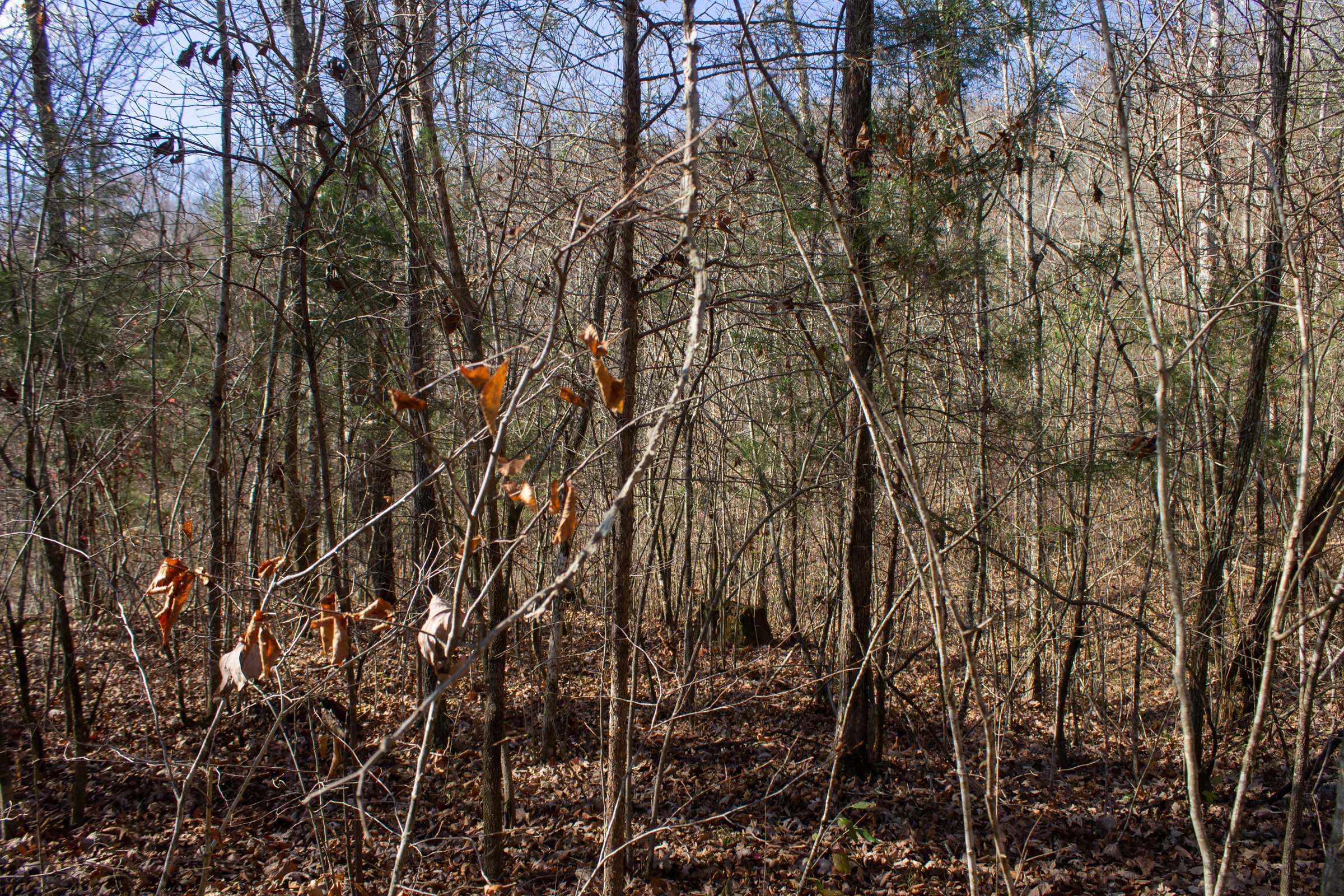 The Cliffs Tract 3 photo 5