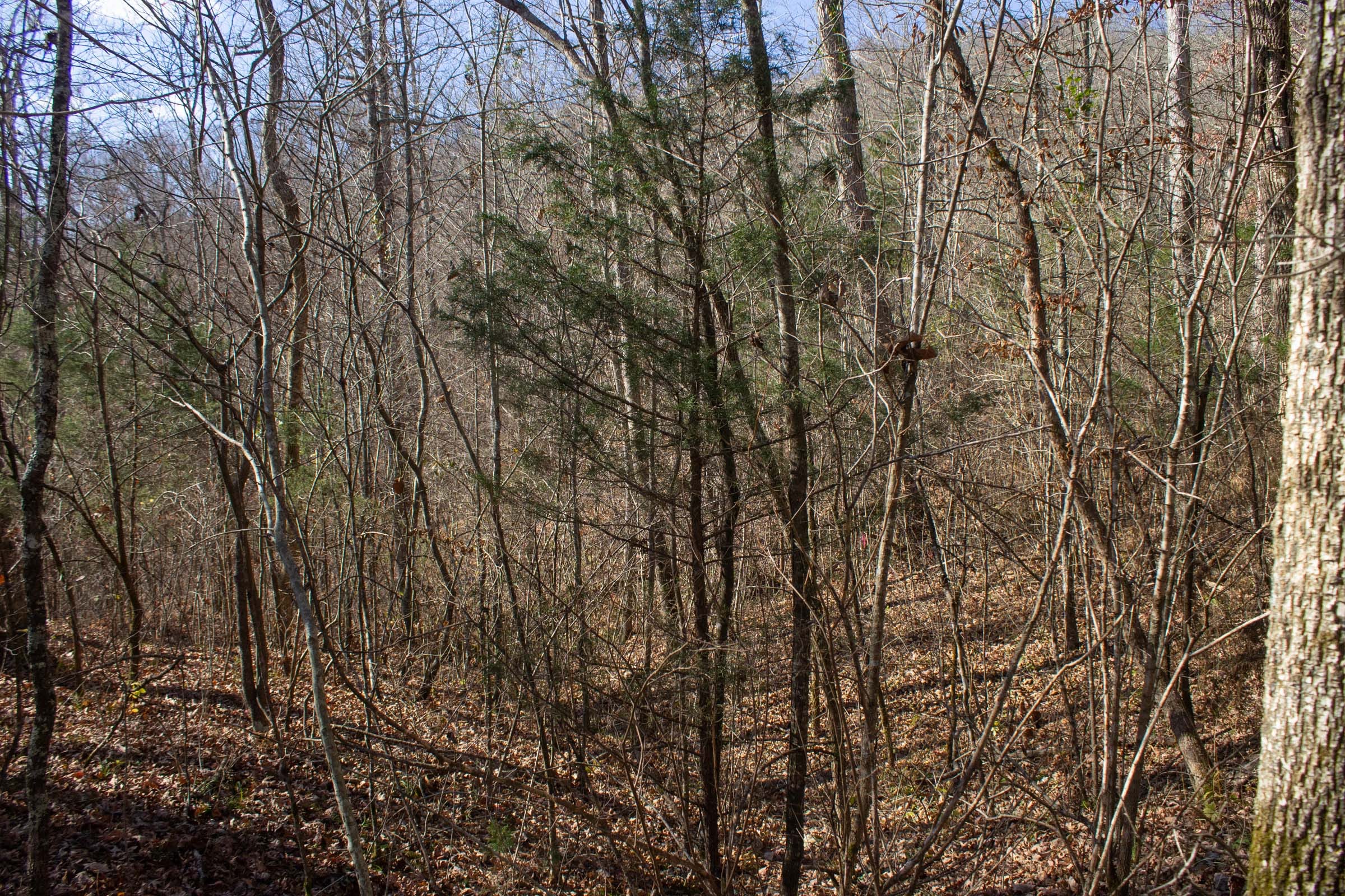 The Cliffs Tract 3 photo 6