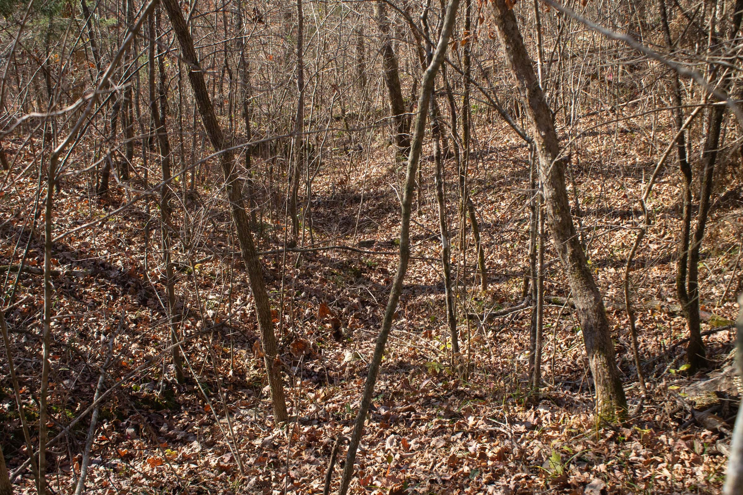 The Cliffs Tract 3 photo 7