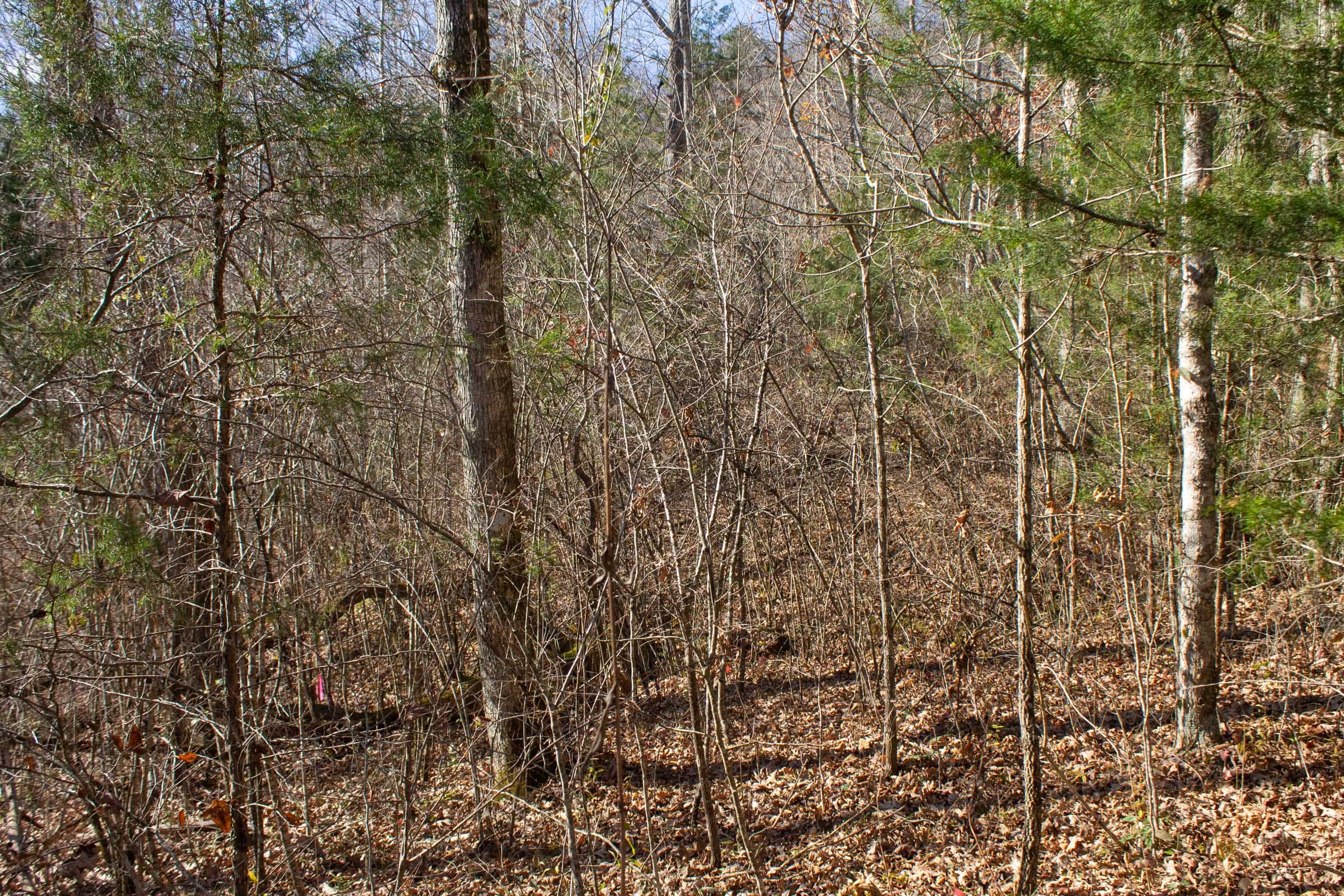 The Cliffs Tract 3 photo 10