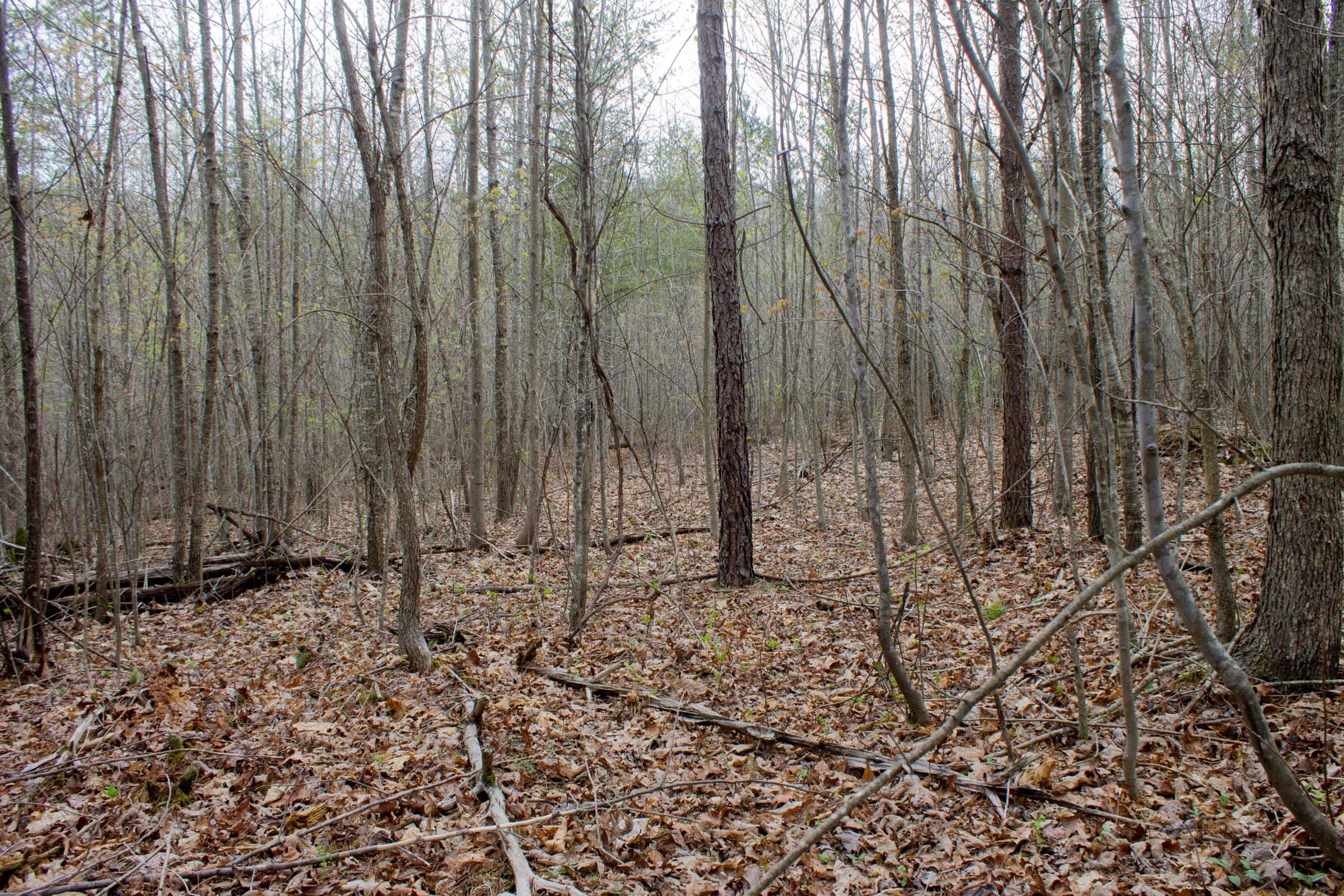 Hidden Hills Tract 12 photo 1