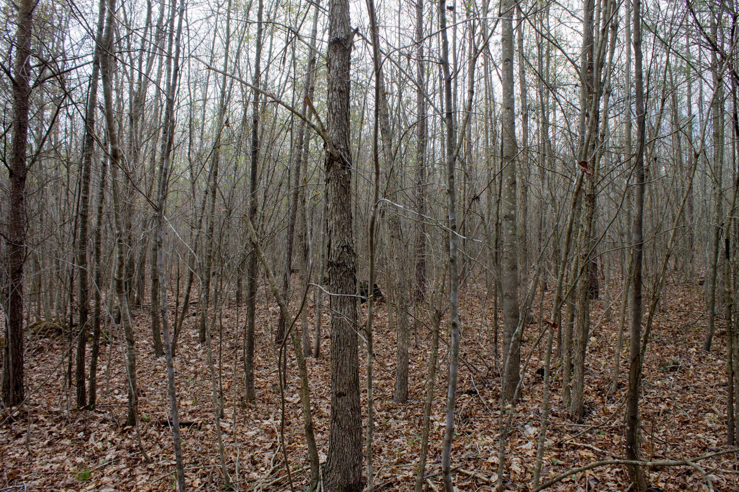 Hidden Hills Tract 12 photo 2