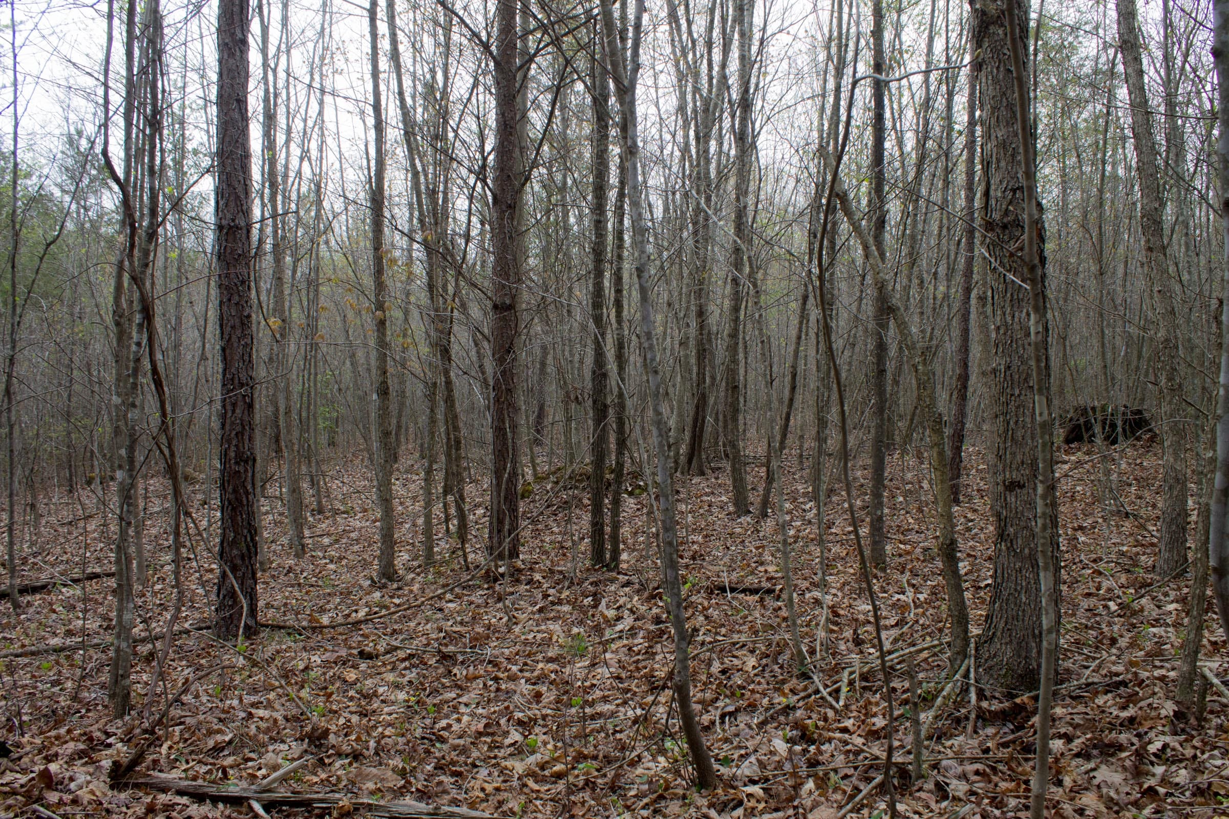 Hidden Hills Tract 12 photo 3