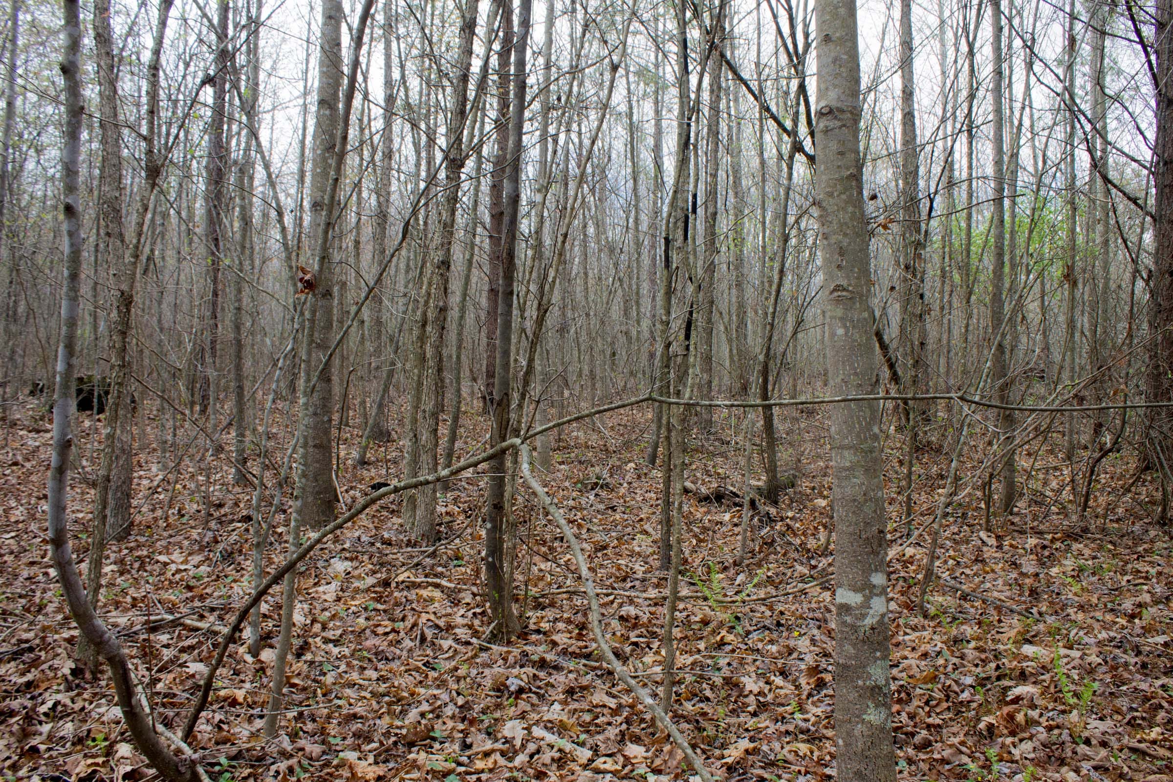 Hidden Hills Tract 12 photo 4