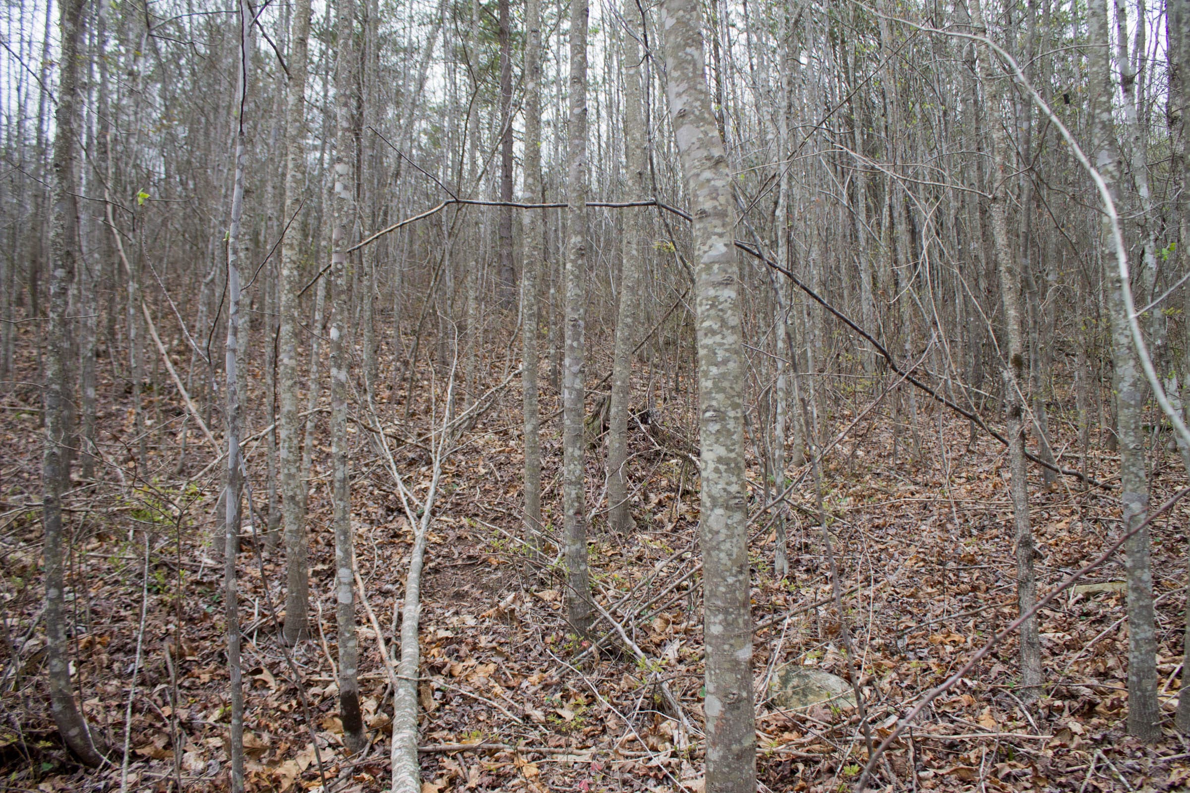 Hidden Hills Tract 12 photo 5
