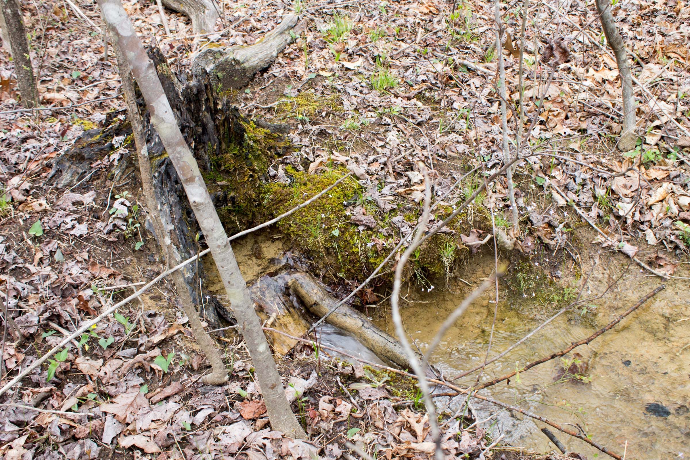 Hidden Hills Tract 12 photo 6