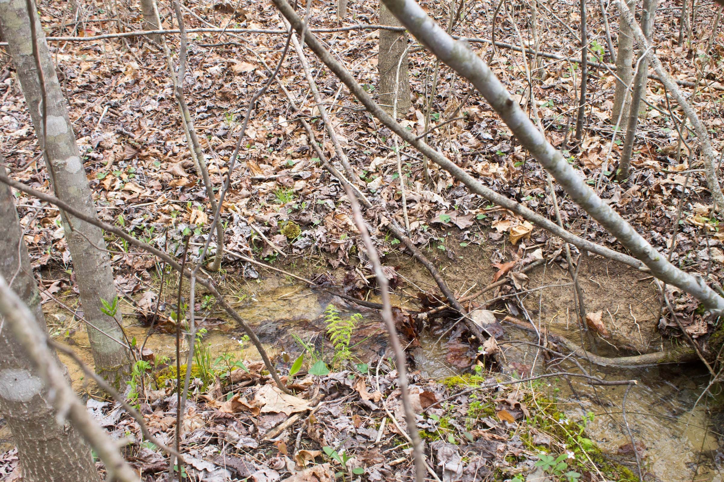 Hidden Hills Tract 12 photo 7