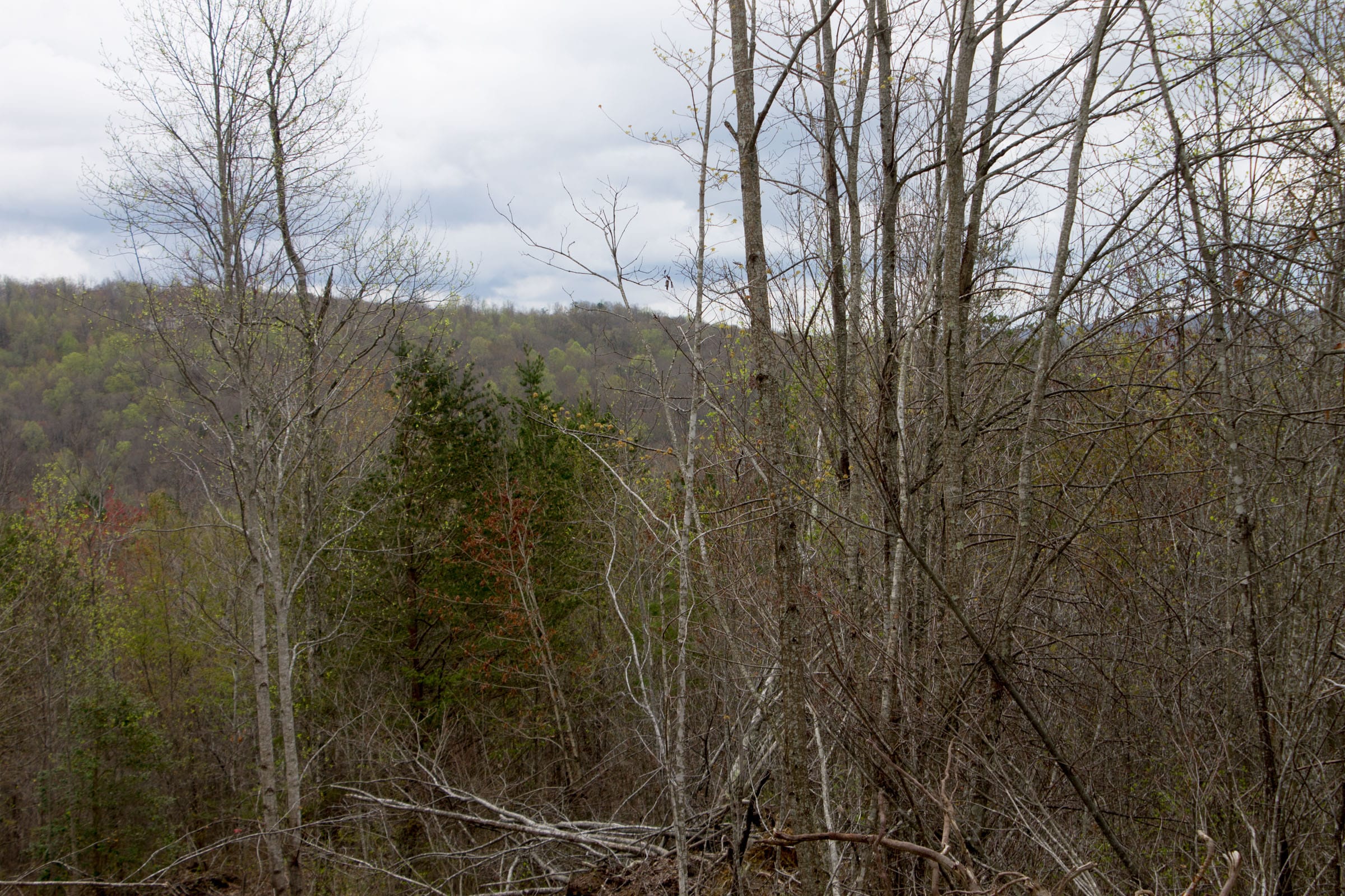 Hidden Hills Tract 12 photo 9