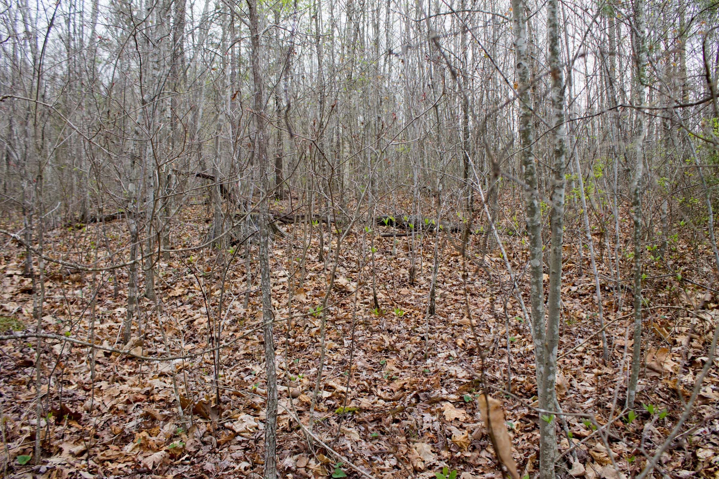 Hidden Hills Tract 12 photo 10