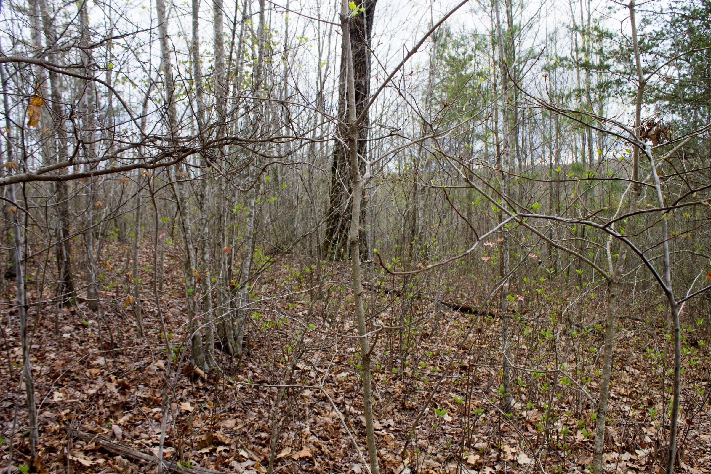 Hidden Hills Tract 12 photo 11