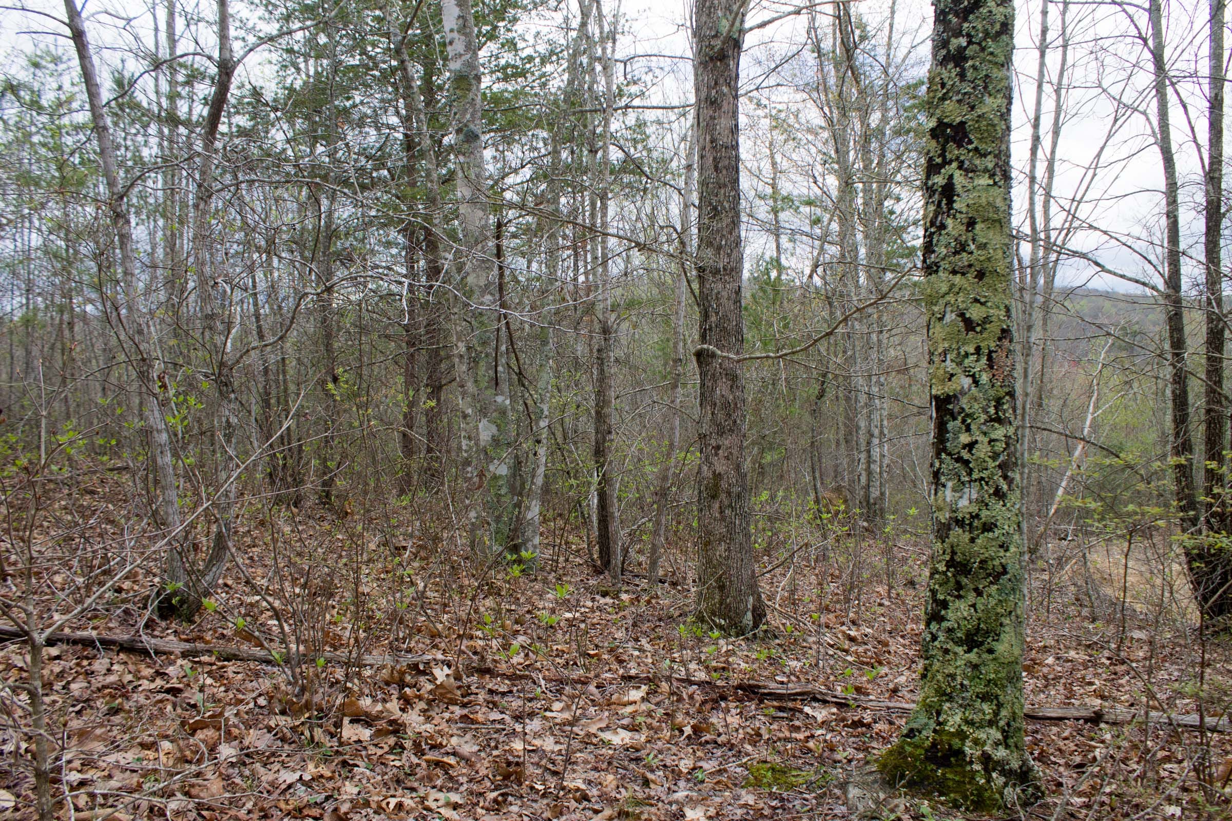 Hidden Hills Tract 12 photo 13