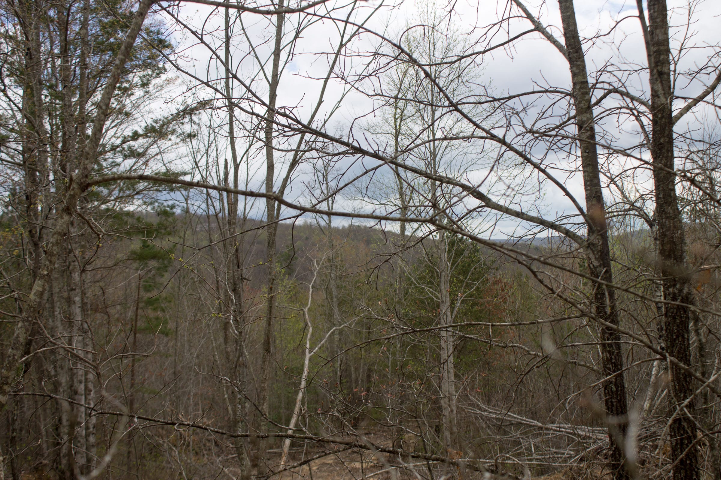 Hidden Hills Tract 12 photo 14