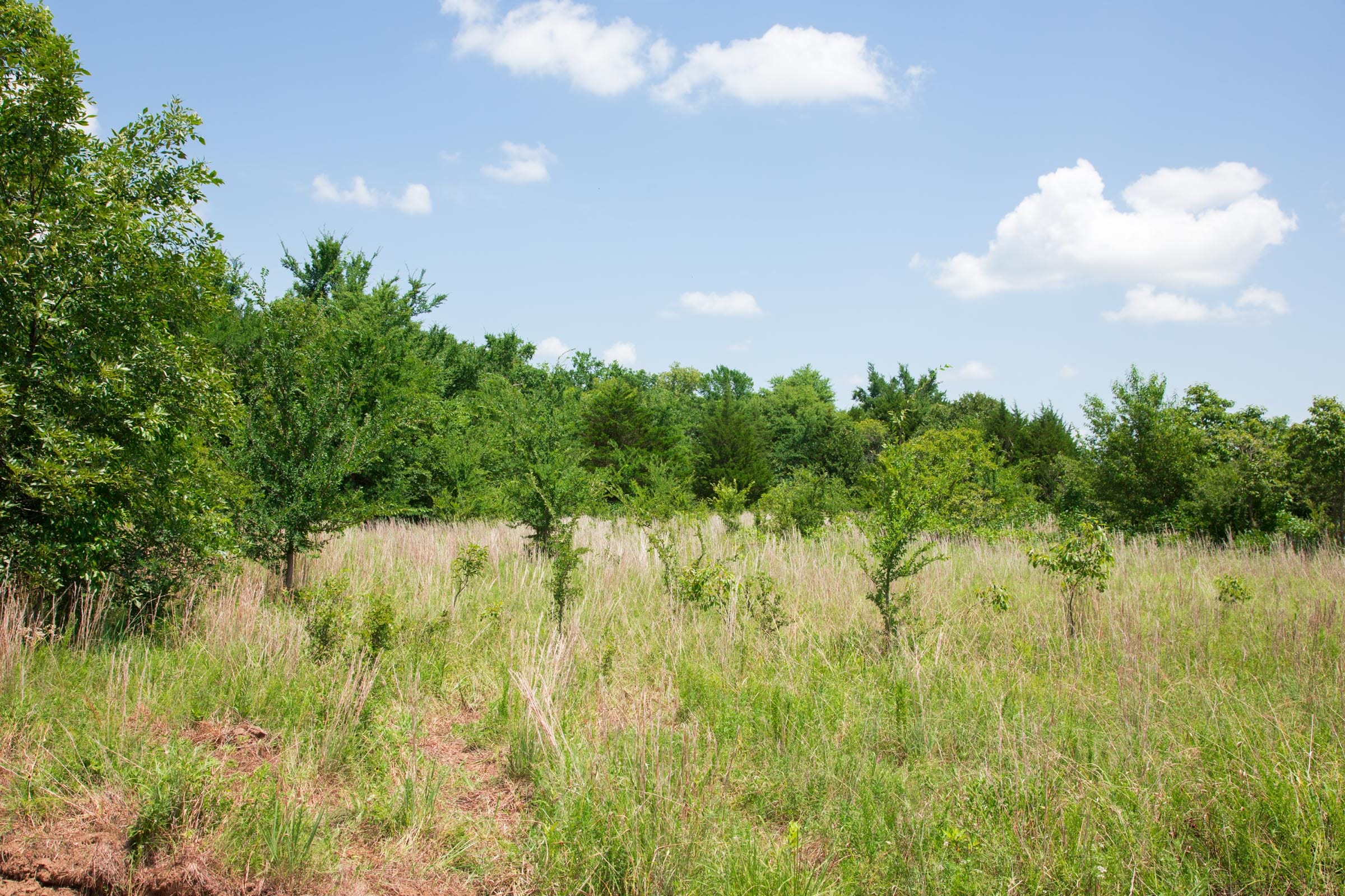 Deep Fork Ranch Tract 1 photo 5
