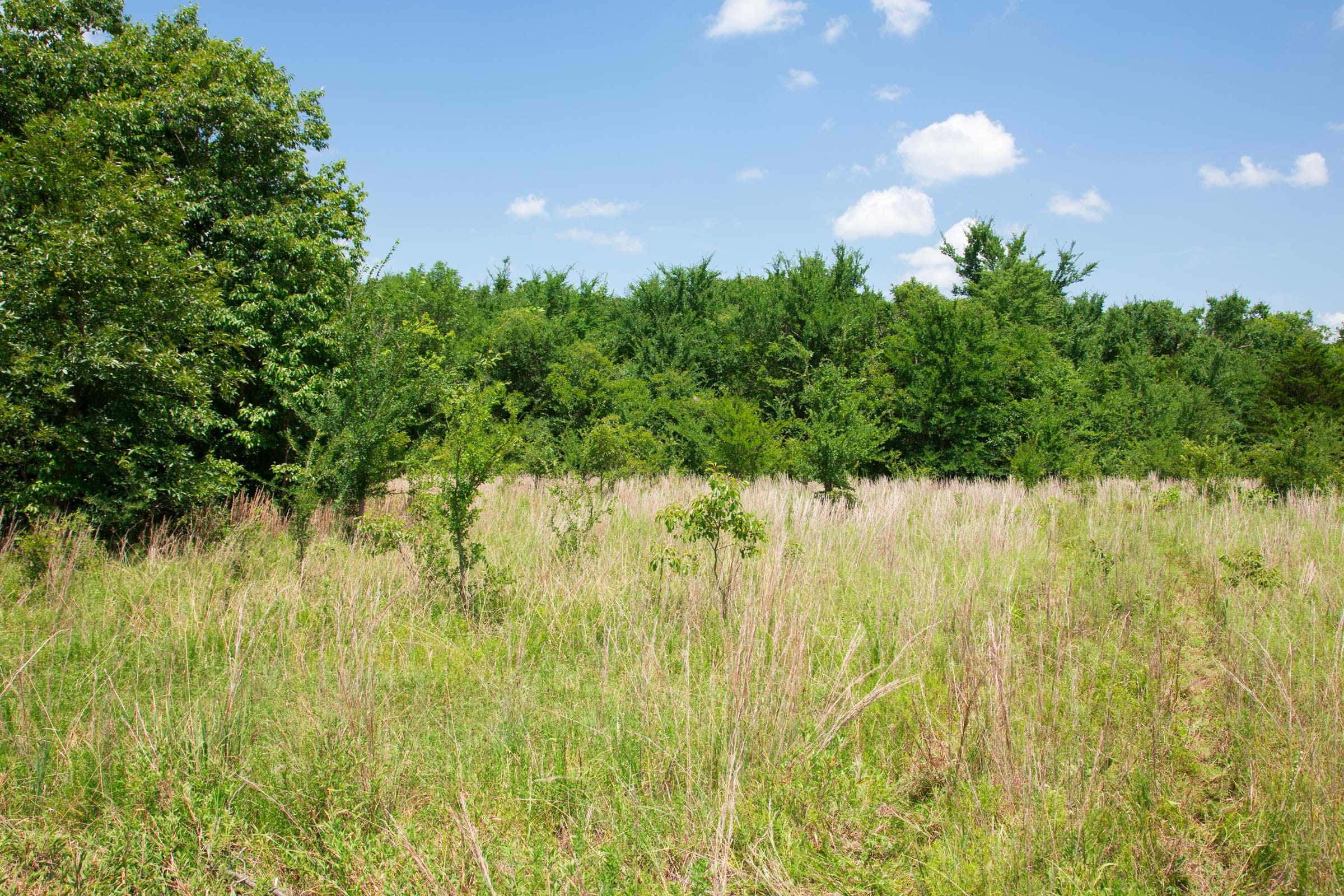 Deep Fork Ranch Tract 1 photo 6