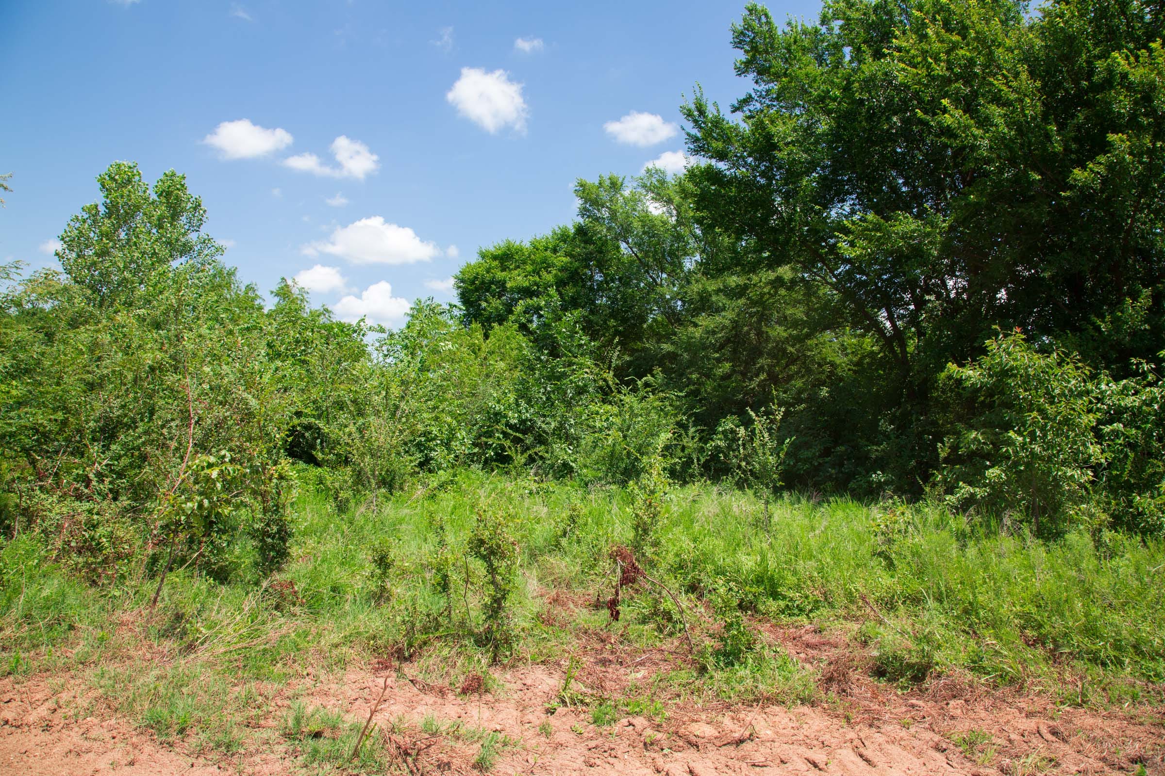 Deep Fork Ranch Tract 1 photo 8