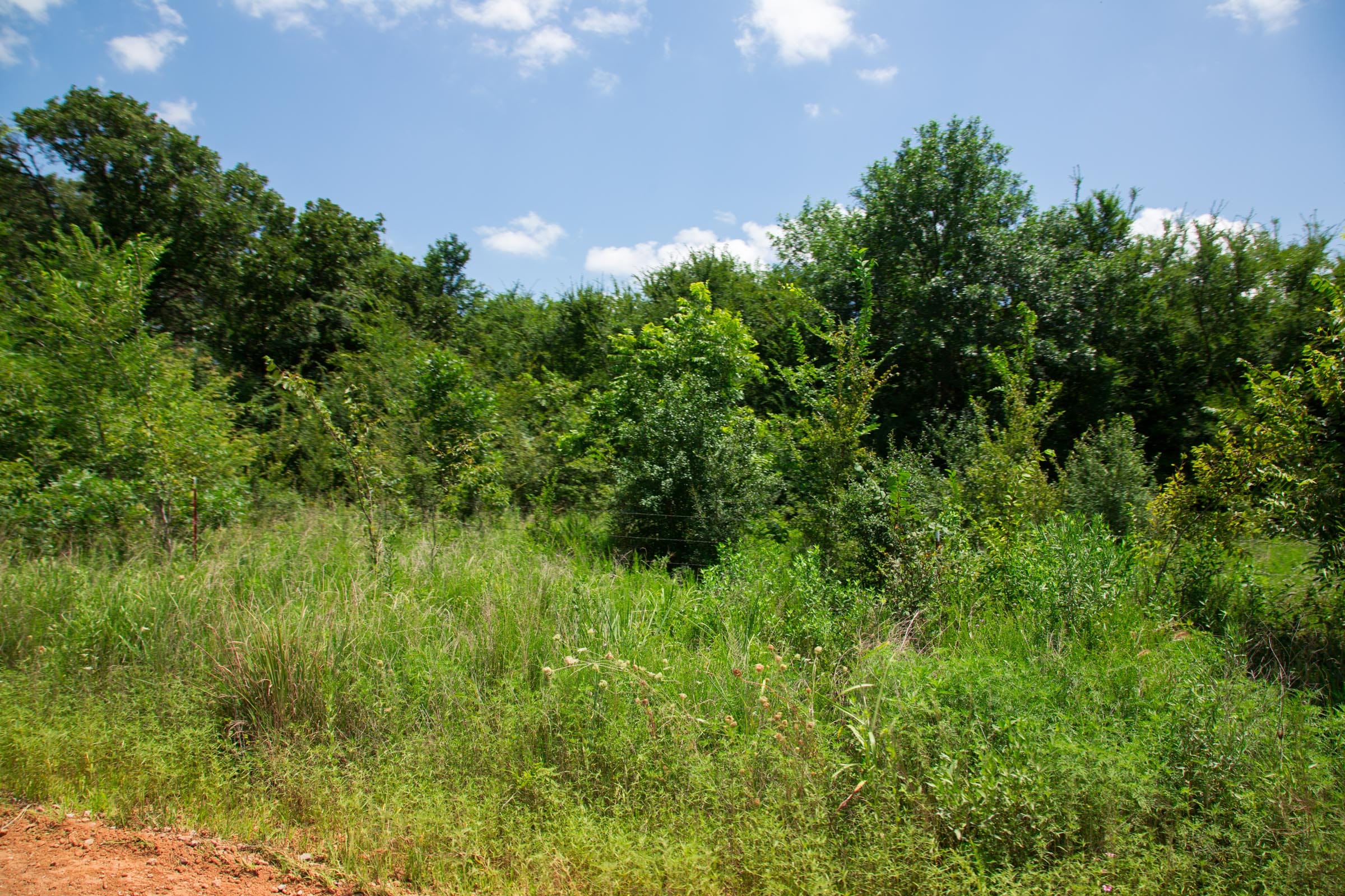 Deep Fork Ranch Tract 1 photo 11