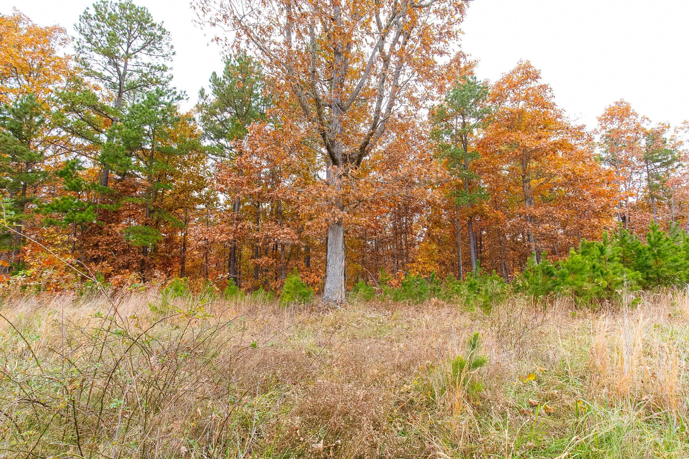 Hawkcrest Tract 16 photo 2