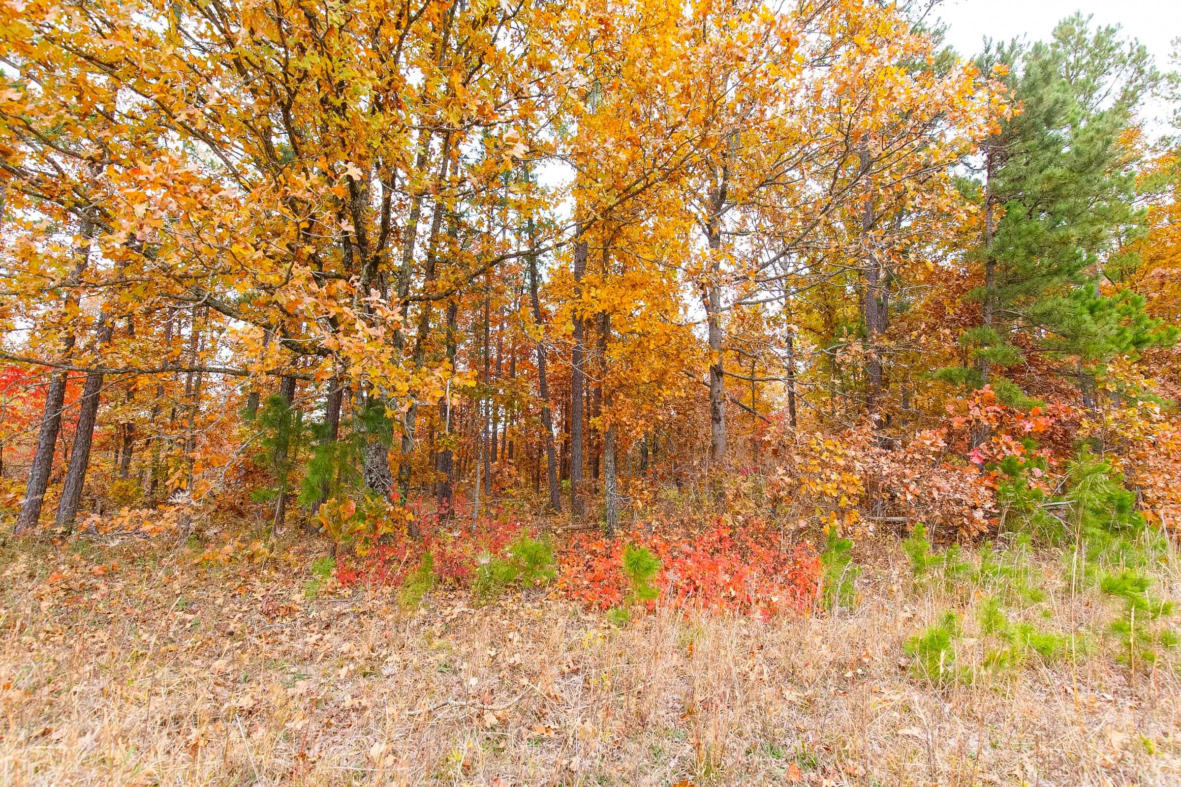 Hawkcrest Tract 16 photo 3