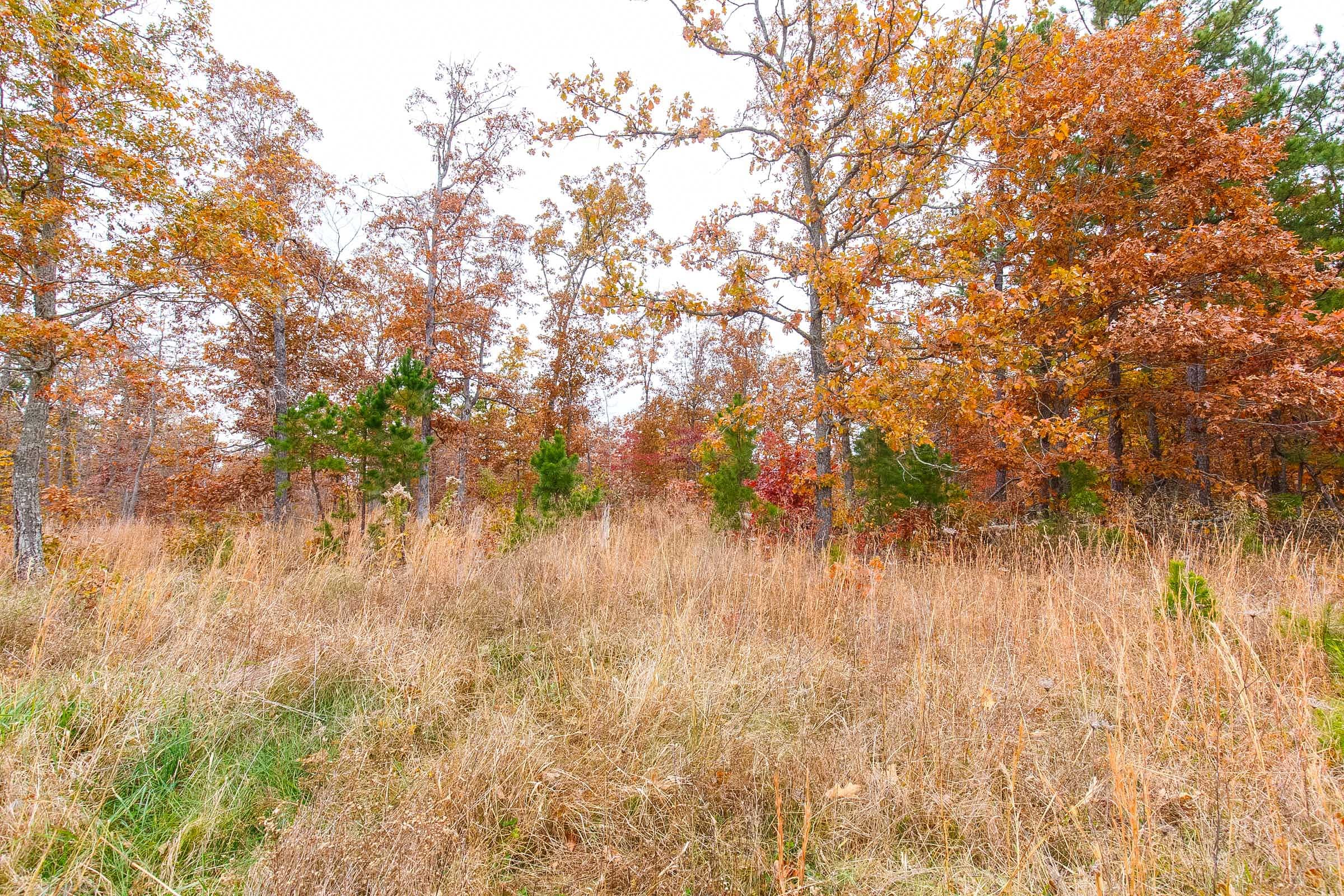 Hawkcrest Tract 16 photo 8