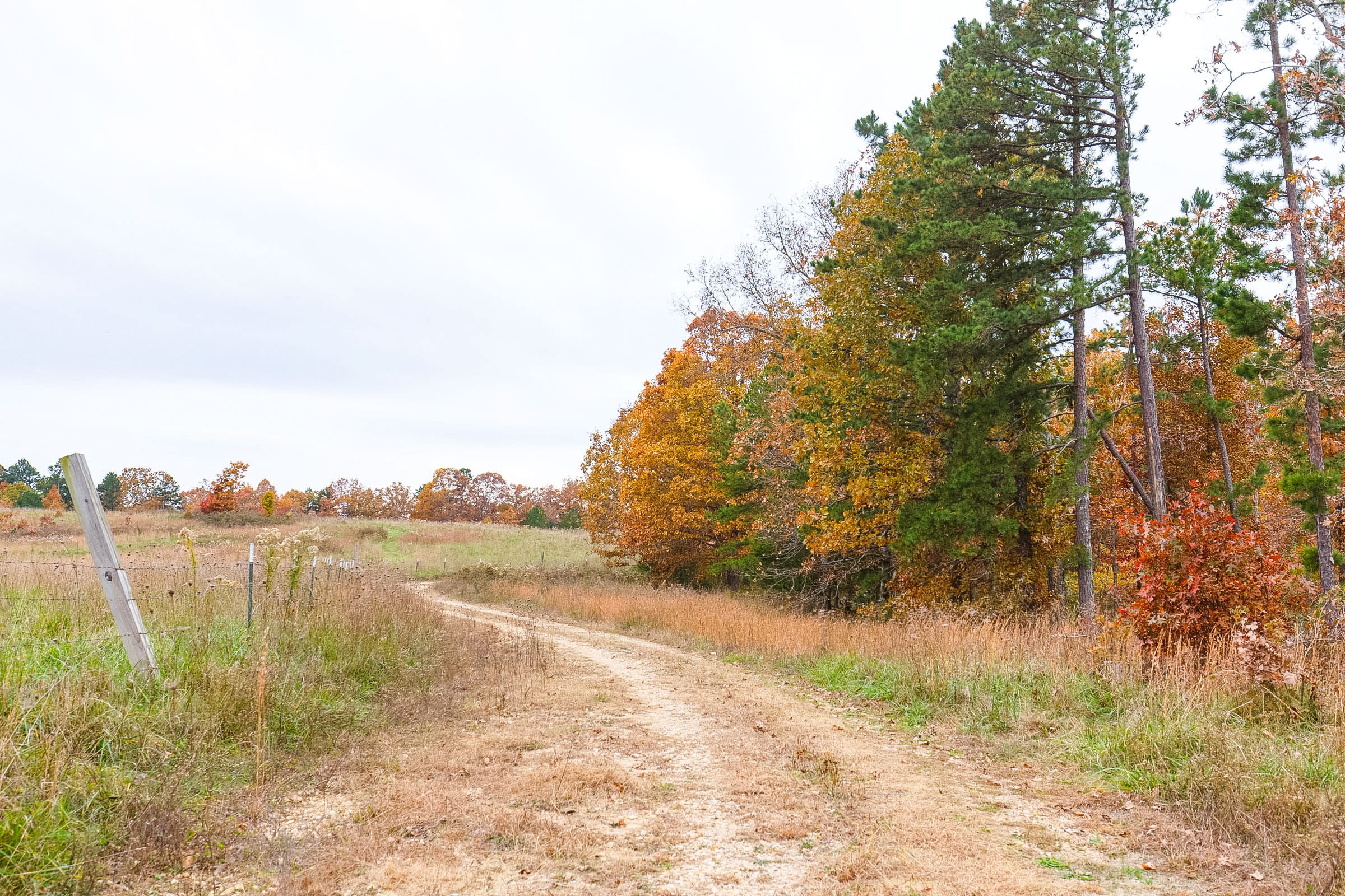 Hawkcrest Tract 16 photo 7