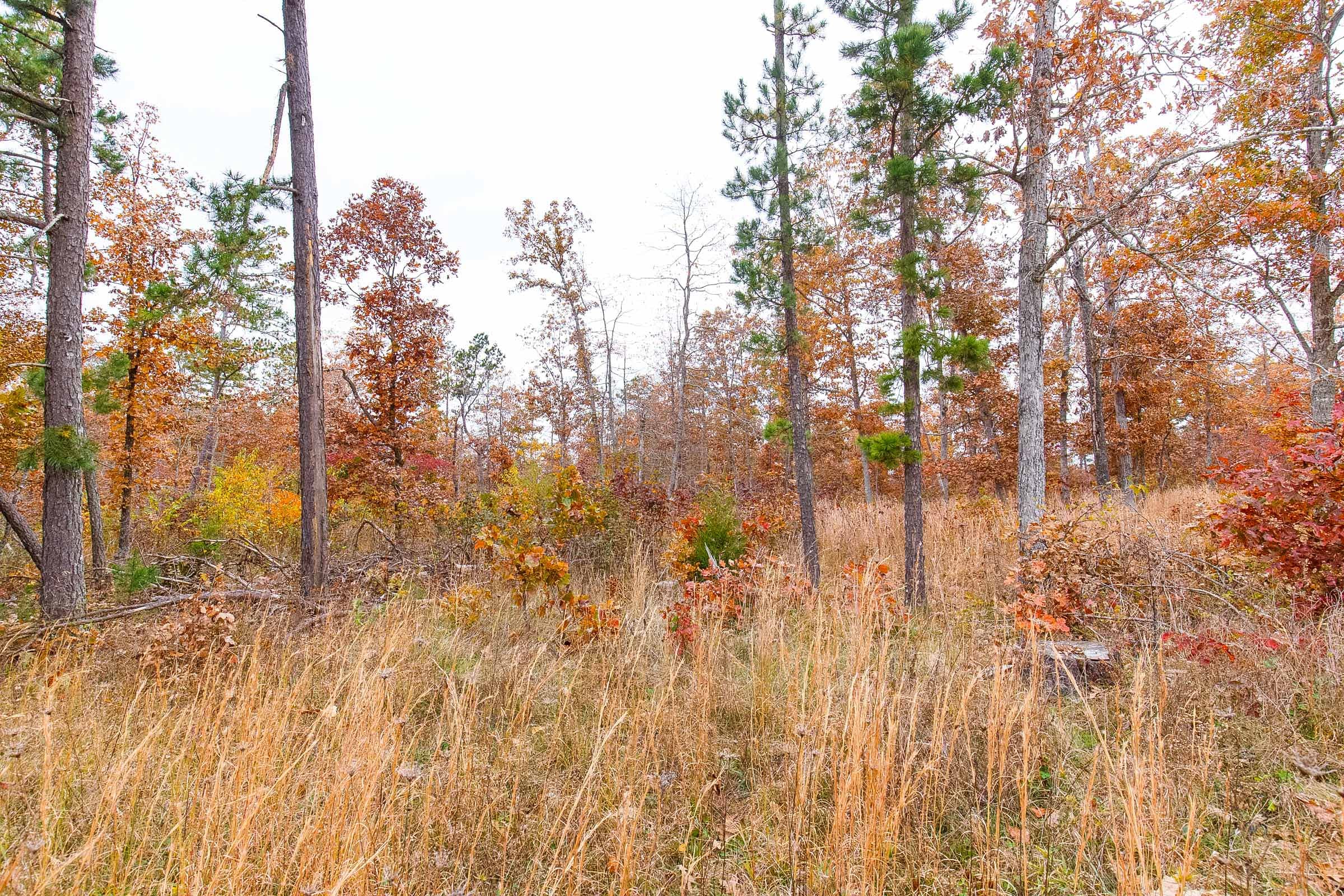 Hawkcrest Tract 16 photo 11