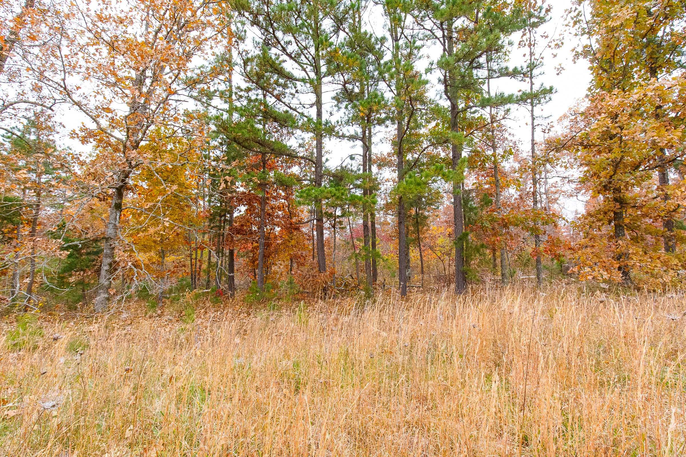 Hawkcrest Tract 16 photo 9