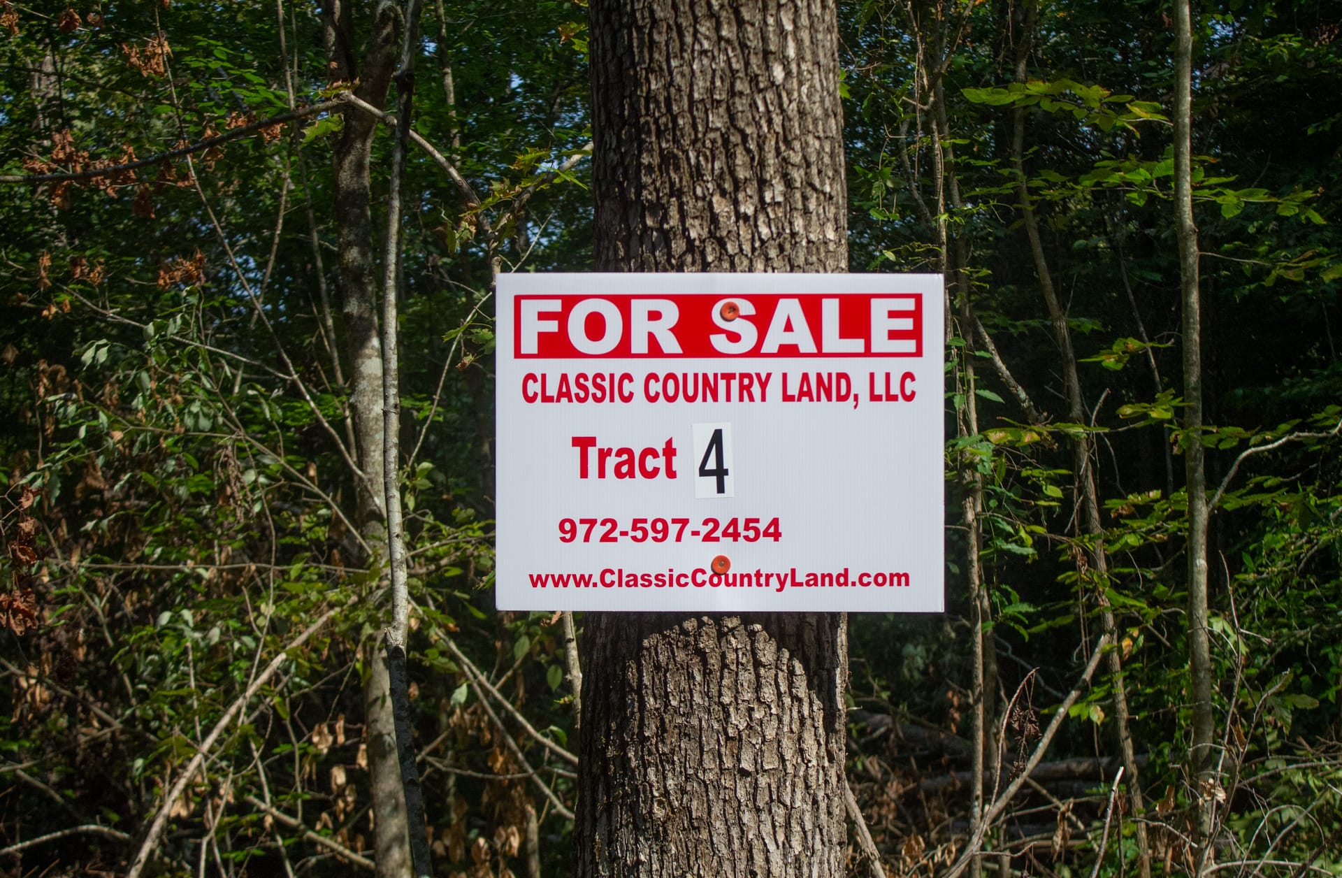Bluegrass Ridge Tract 4 photo 1