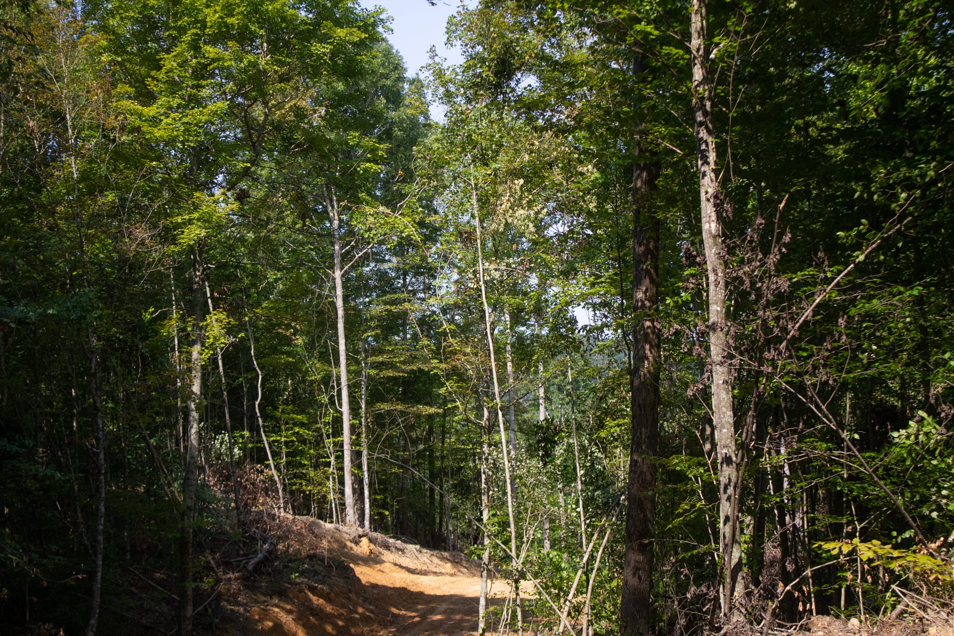 Bluegrass Ridge Tract 4 photo 3