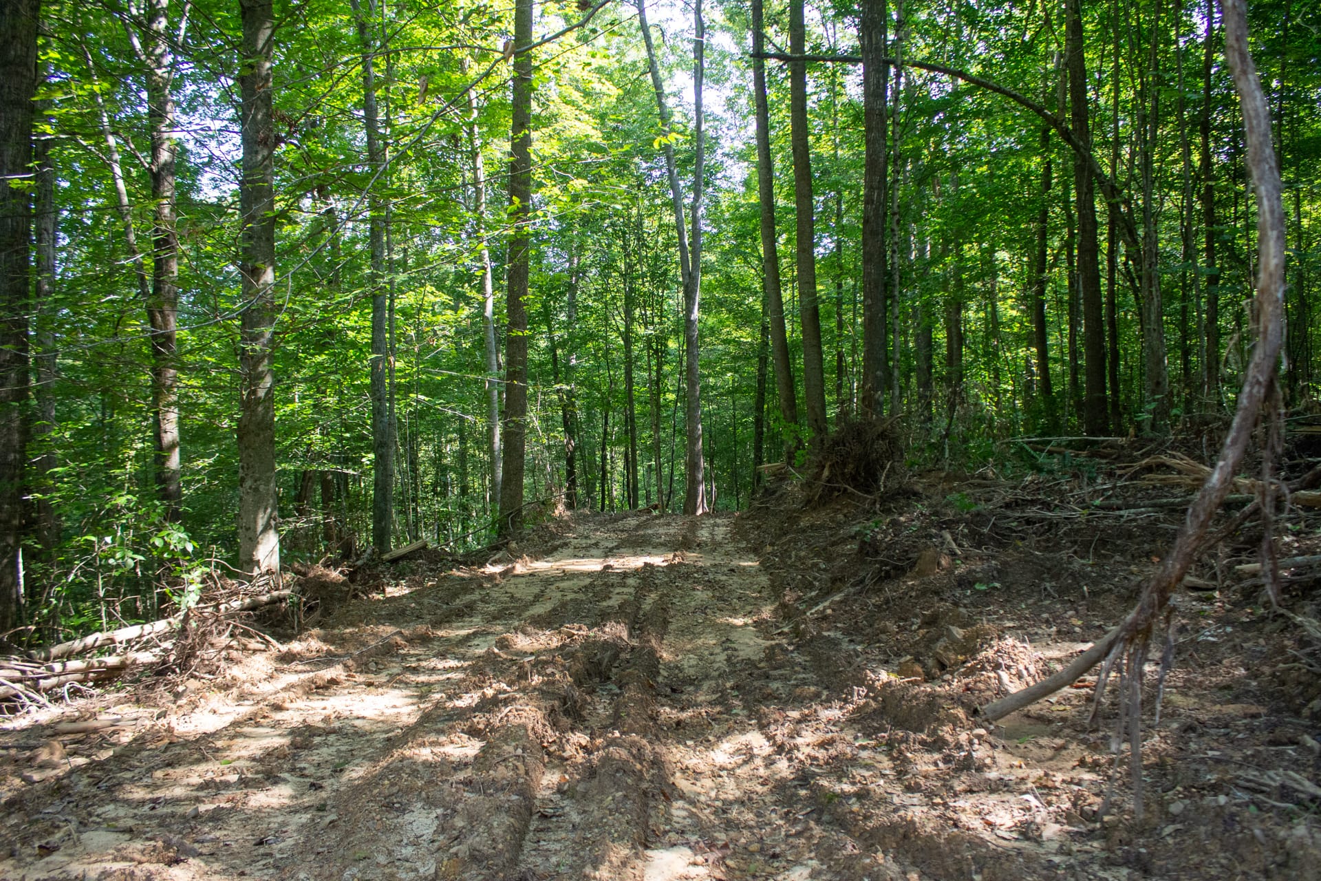 Bluegrass Ridge Tract 4 photo 8
