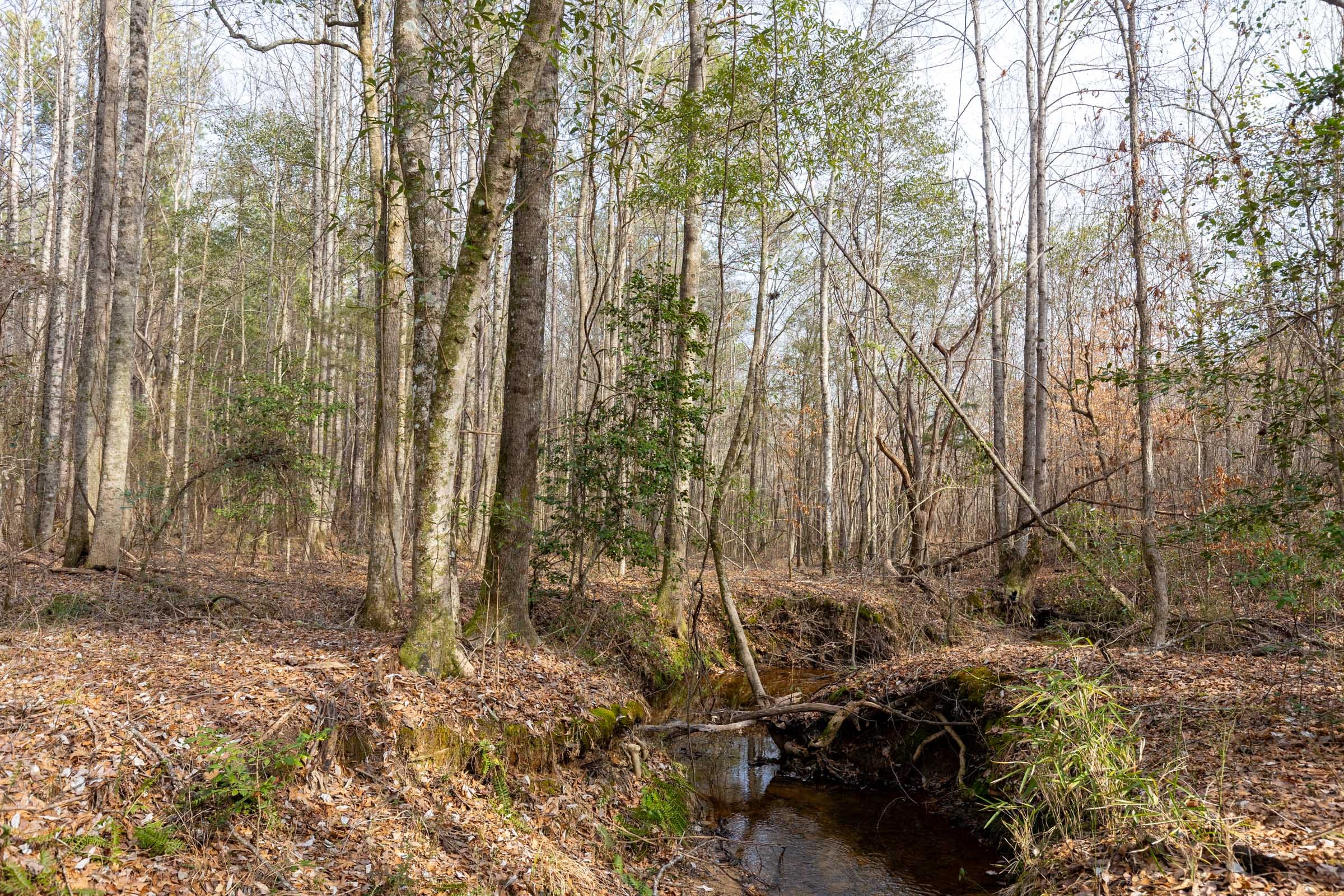 Baker Creek Tract 10 photo 11