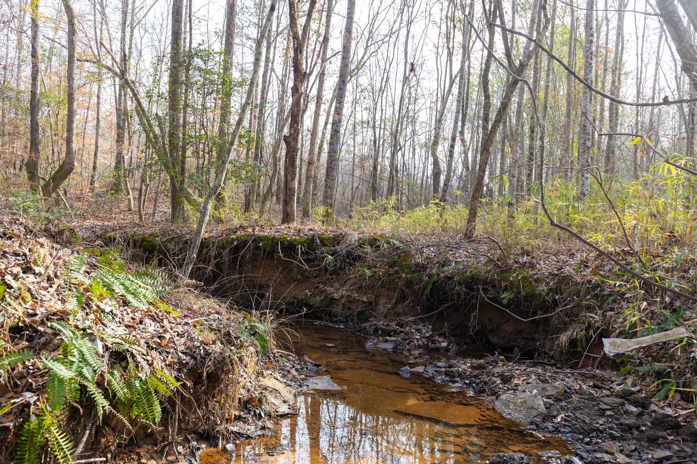 Baker Creek Tract 10 photo 10
