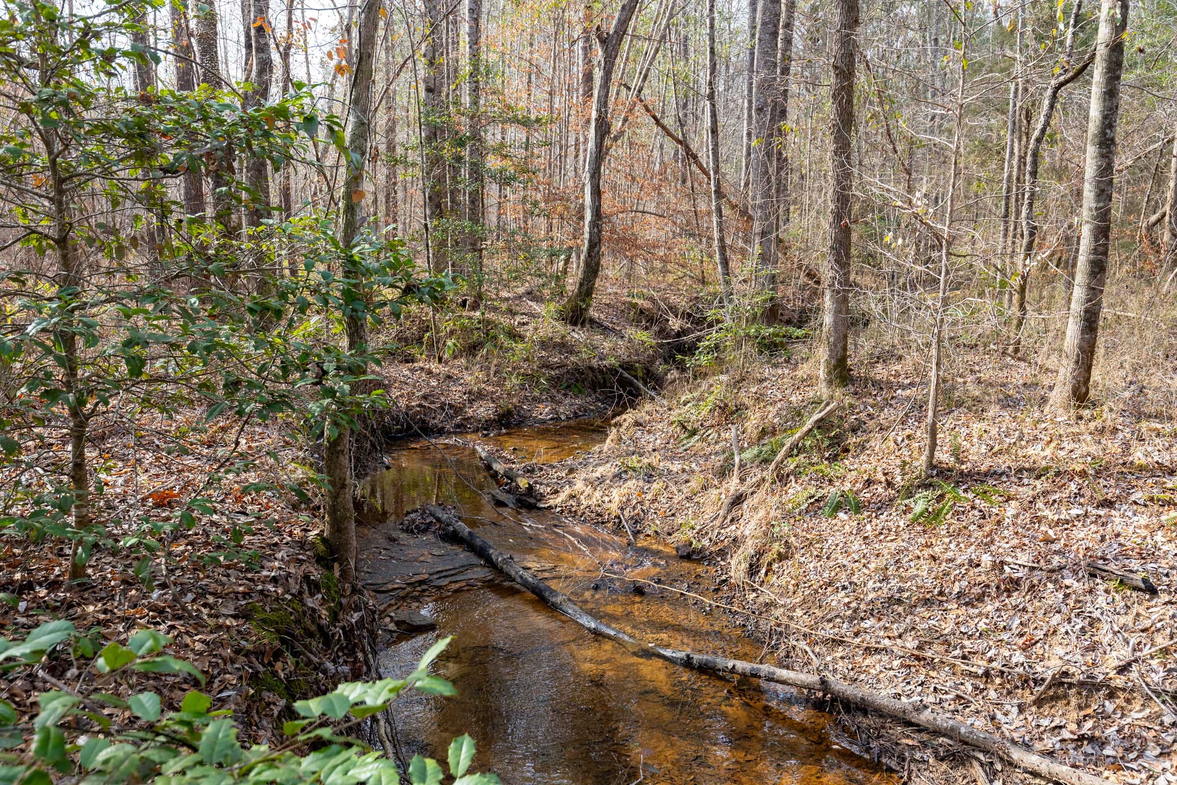 Baker Creek Tract 10 photo 9