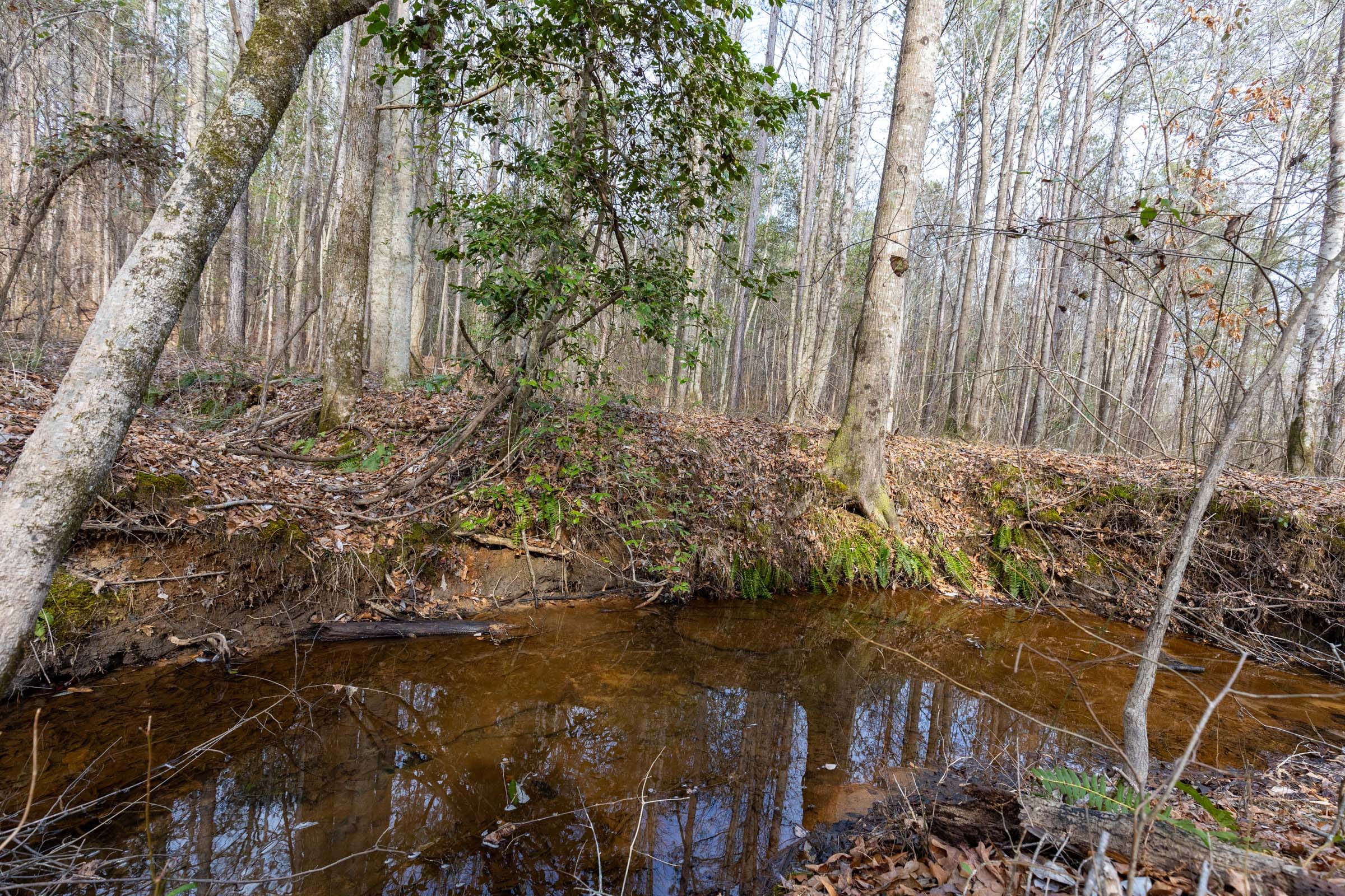 Baker Creek Tract 10 photo 7