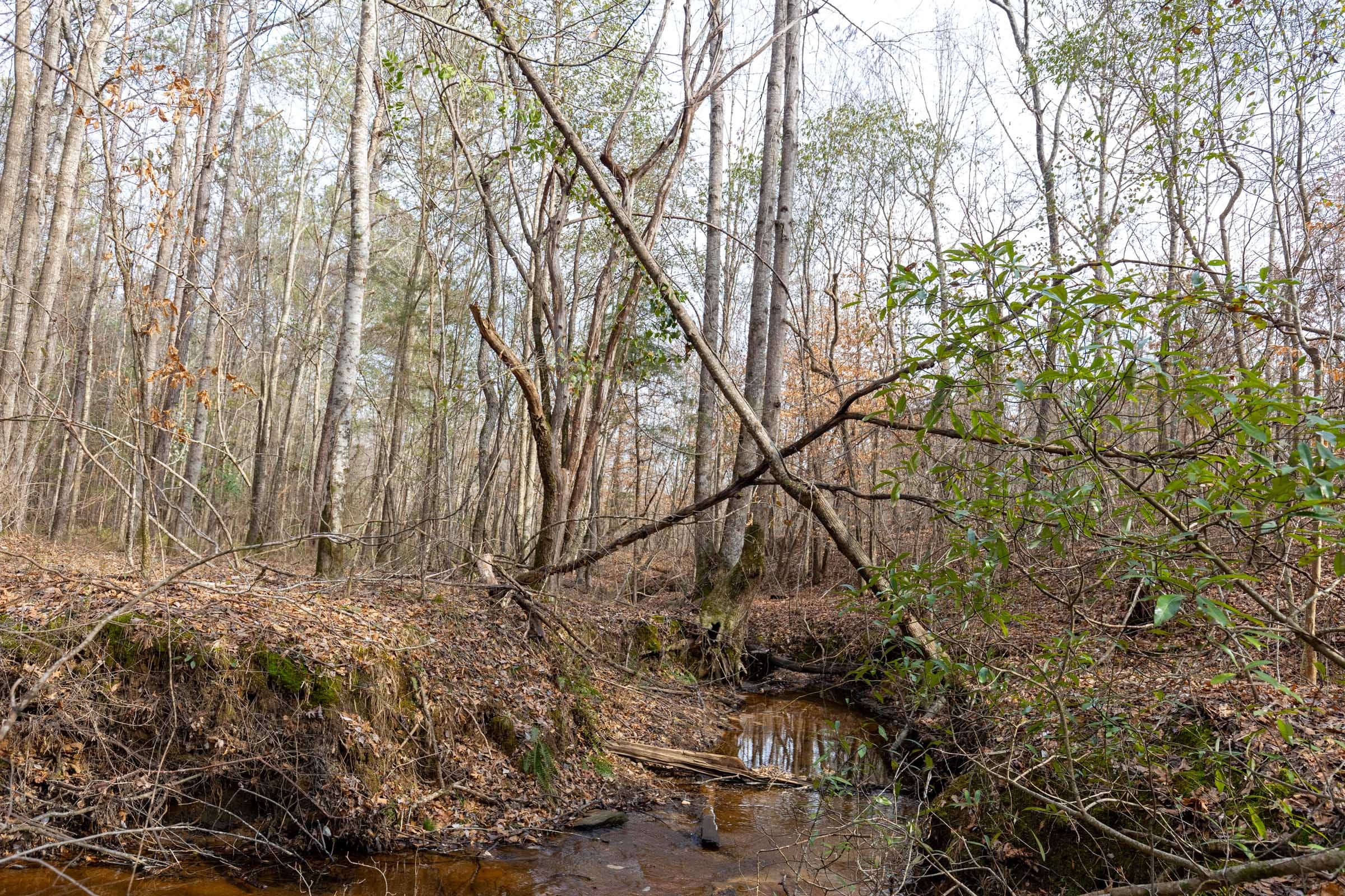 Baker Creek Tract 10 photo 6