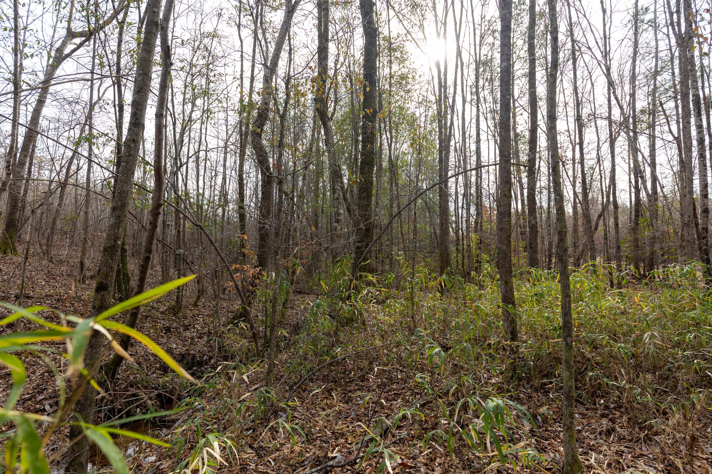 Baker Creek Tract 10 photo 4